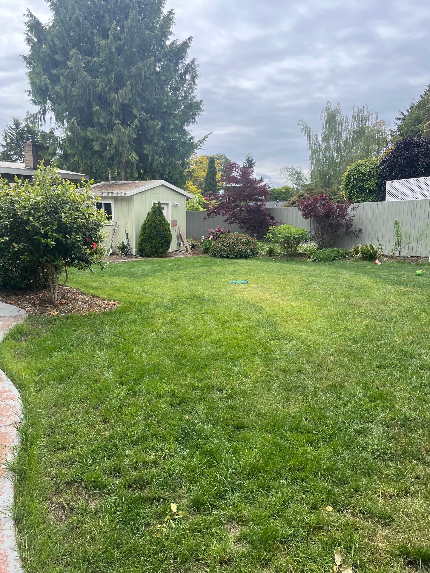 Ashley | Concrete Back Patio by Jireh Asphalt & Concrete Inc 