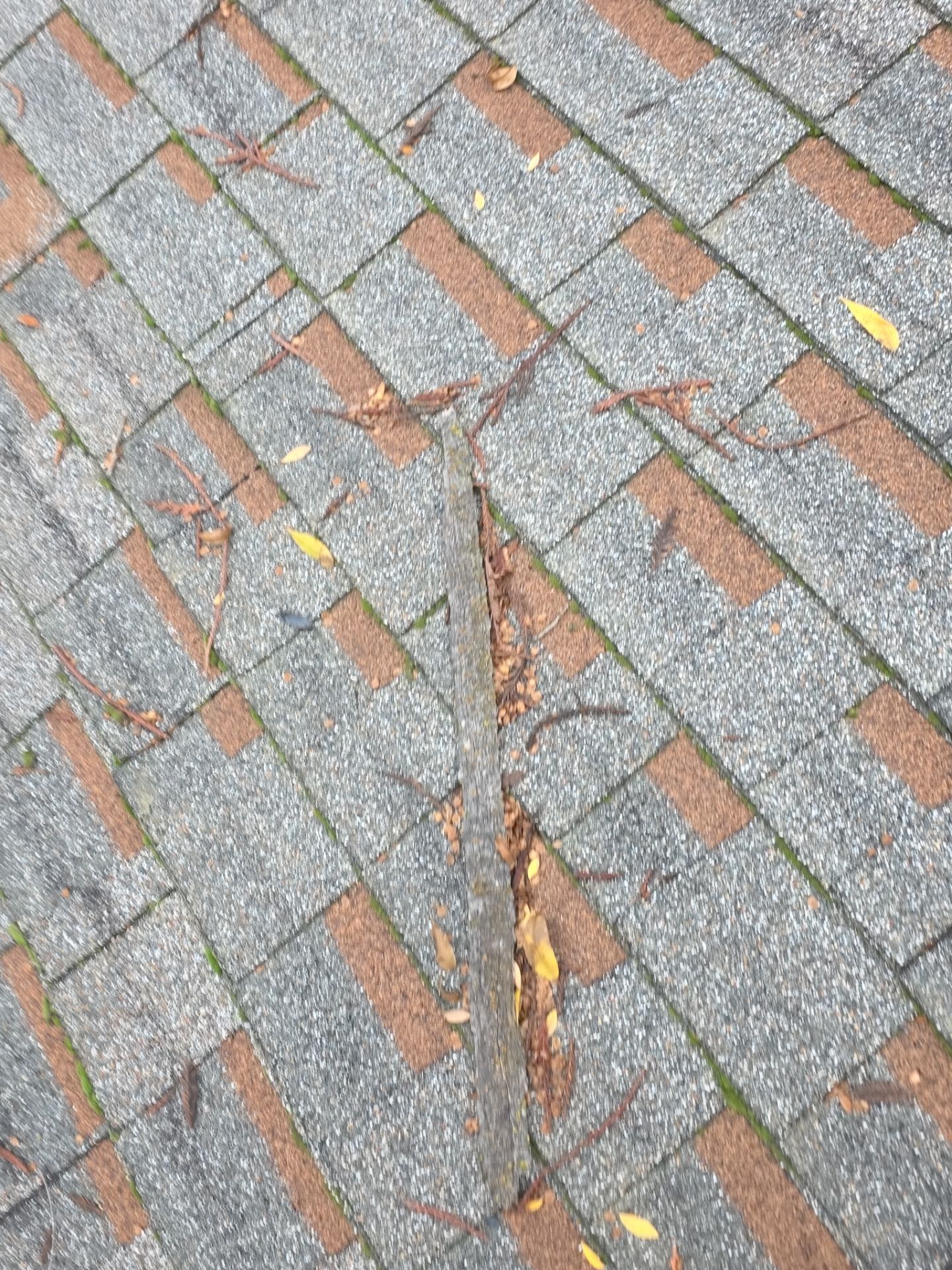 Roof Rejuvenation using Roof Maxx Treatment by Roof Maxx of Folsom