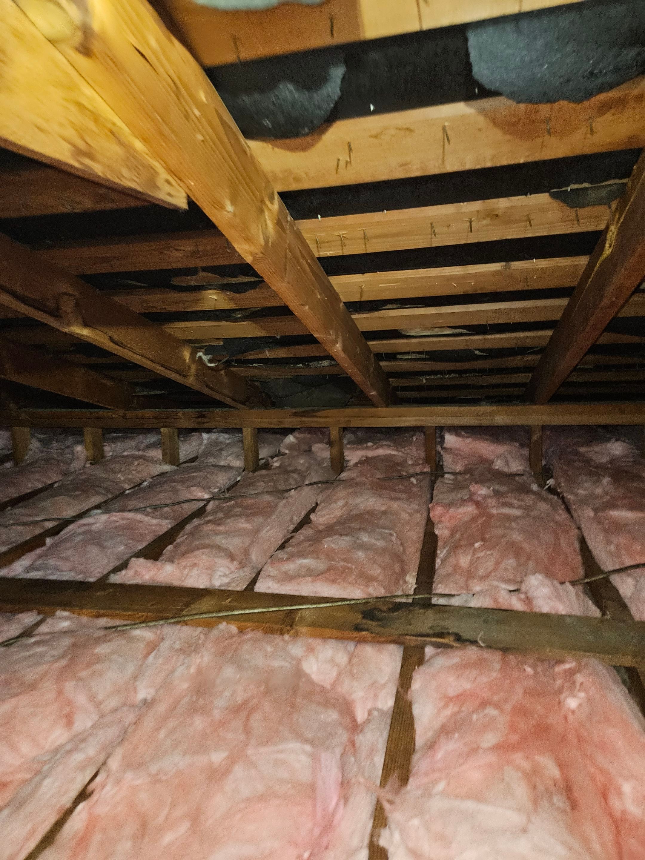 Project in Altadena by Insulation Labs