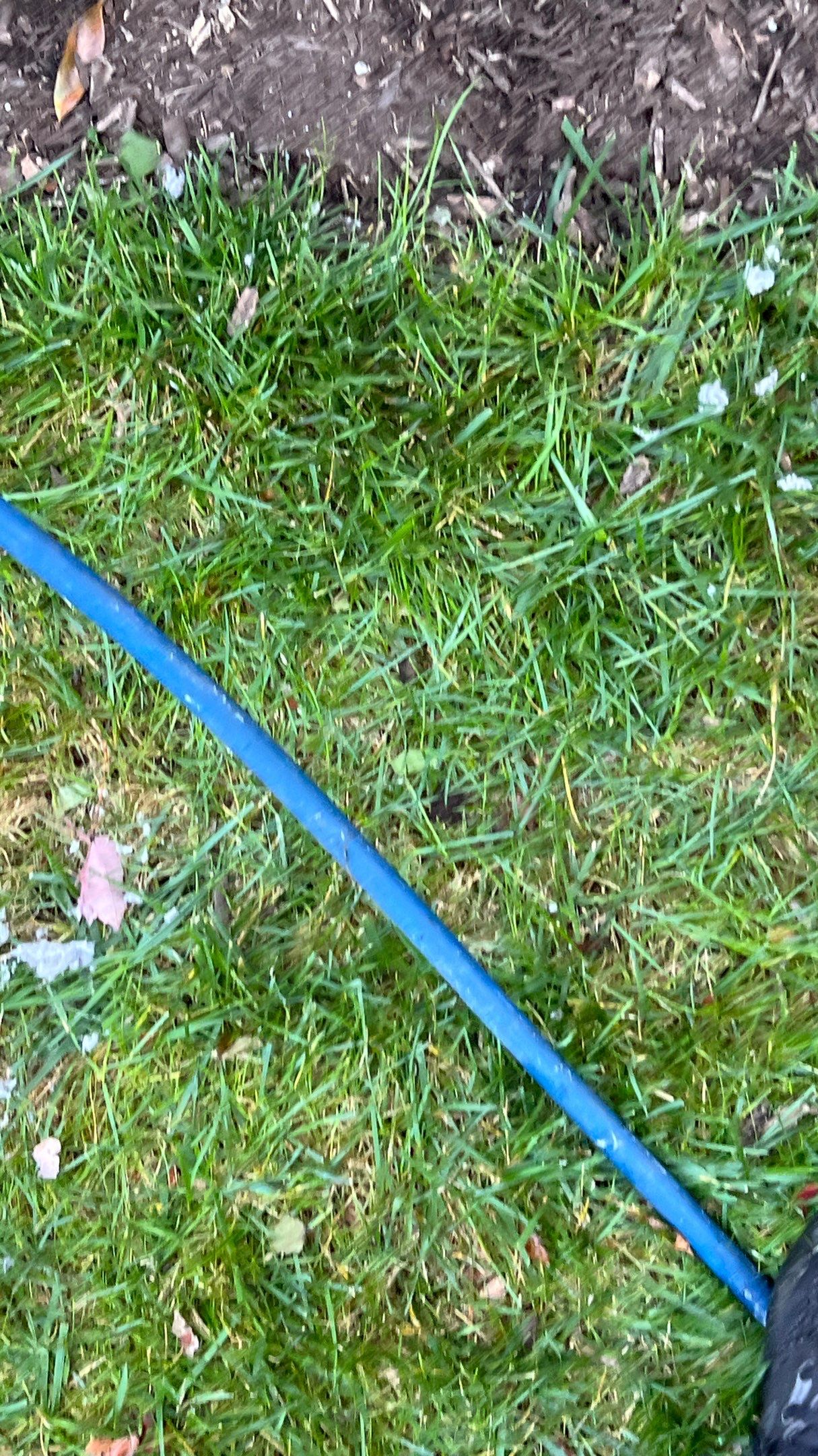 Dryer Vent Cleaning in Mars, PA by Superior Air Duct Cleaning