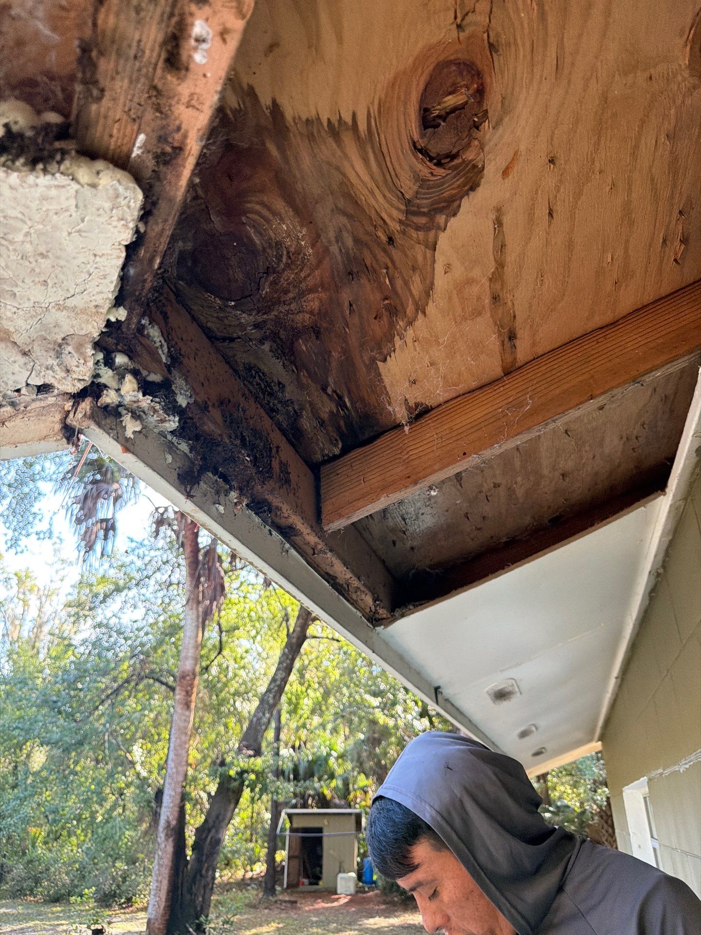 Sorrento Residential Fascia Repair and Soffit Wood Rot Restoration by Fortified Roofing Solutions Corp.