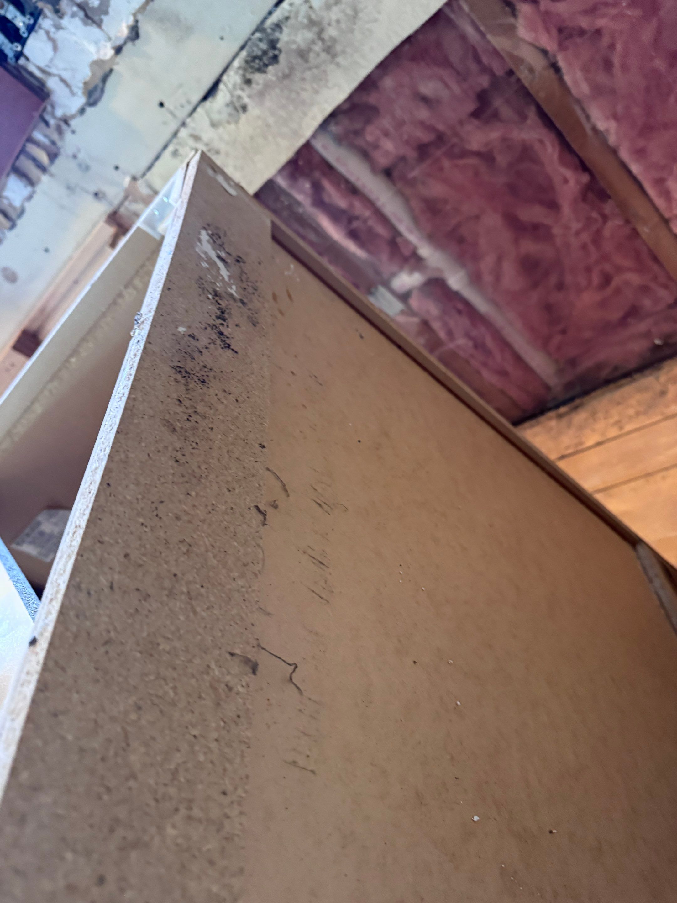 Mold Remediation in Muskego by Dry Source Property Restoration