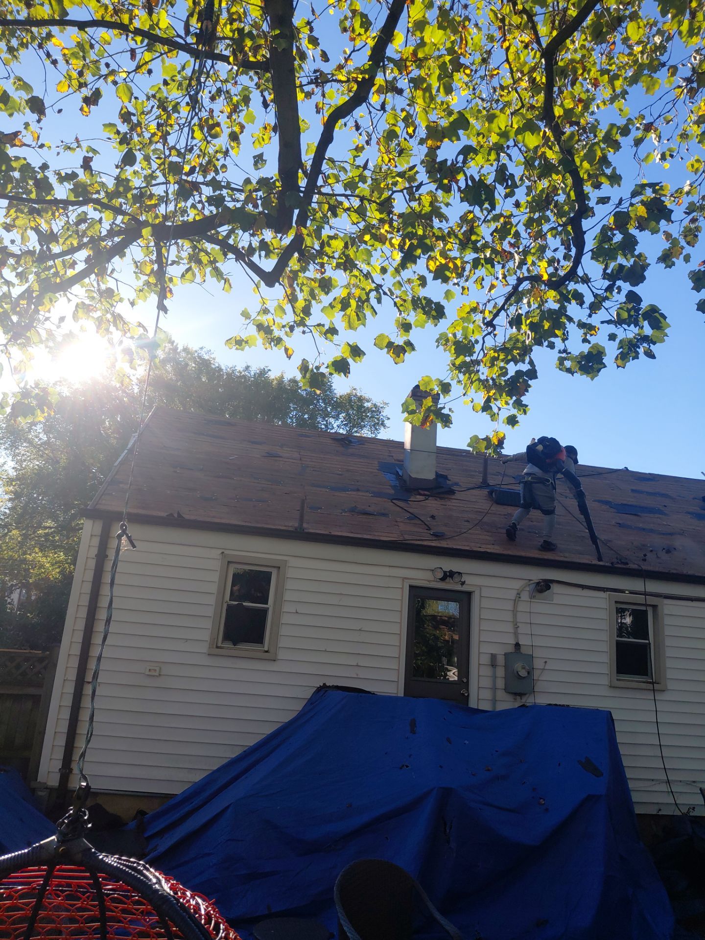 Falls Church  : Residential Roof Replacement with CertainTeed Landmark Pro in Max Def Georgetown Gray by RM Banning, Inc.