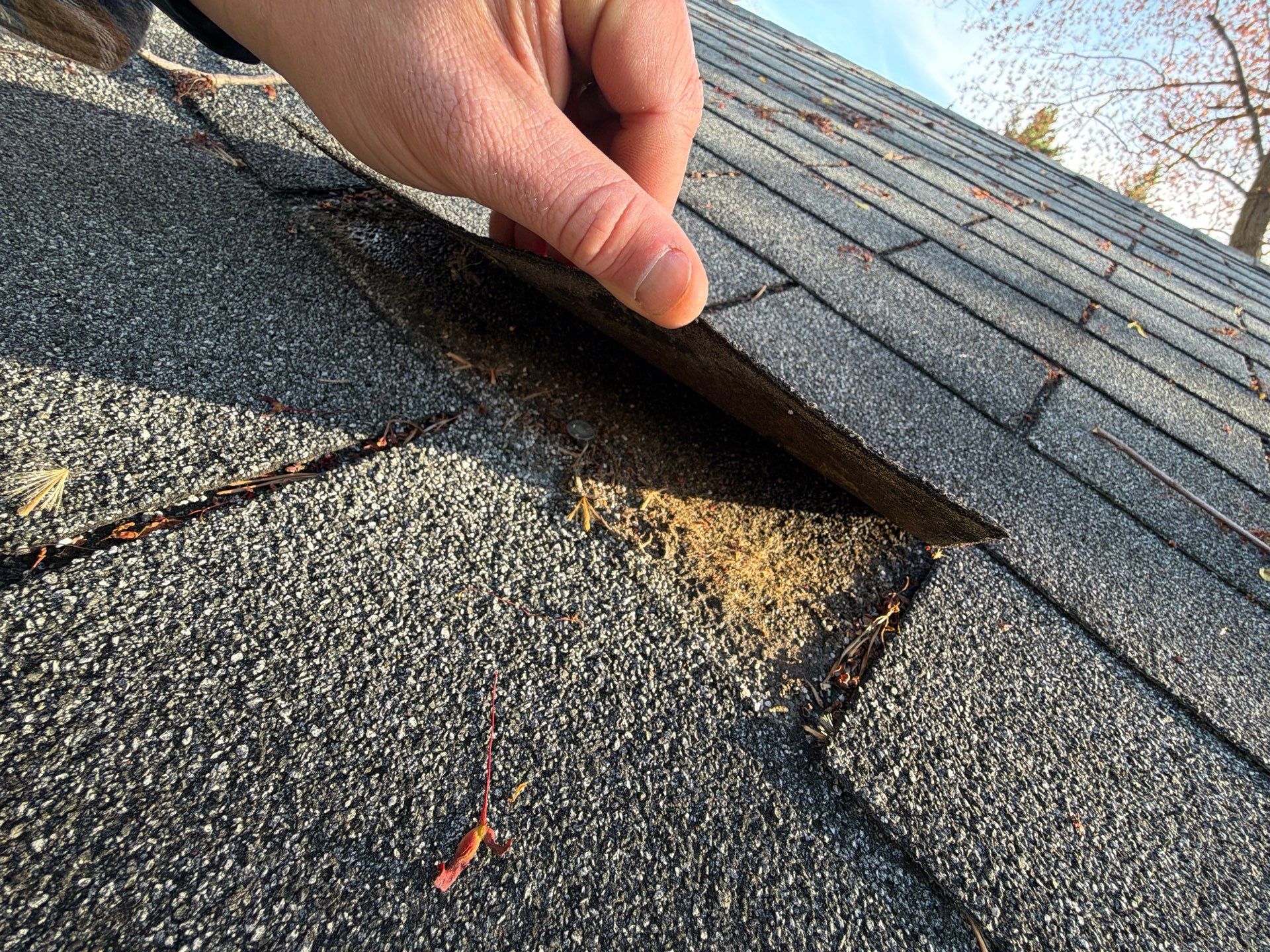 Asphalt Shingle Roof Replacement for Williamsburg Residential Property by Cade Construction