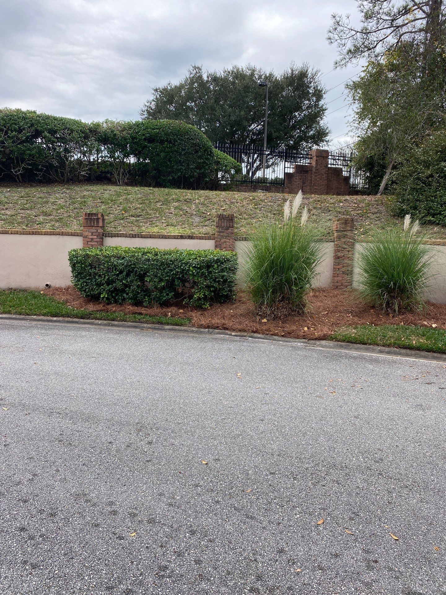 Deerwood Pointe | Tree Removal & Pine Straw Installation by ProGreen Services