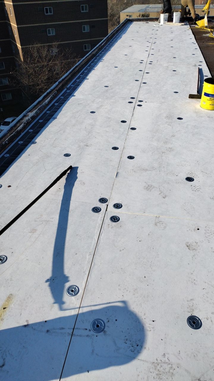 Commercial flat roof parma by Absolute Roofing and Construction