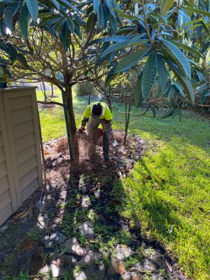 Deerwood Resident | Landscaping