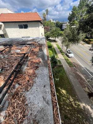 HOA Gutter Cleaning in Pasadena