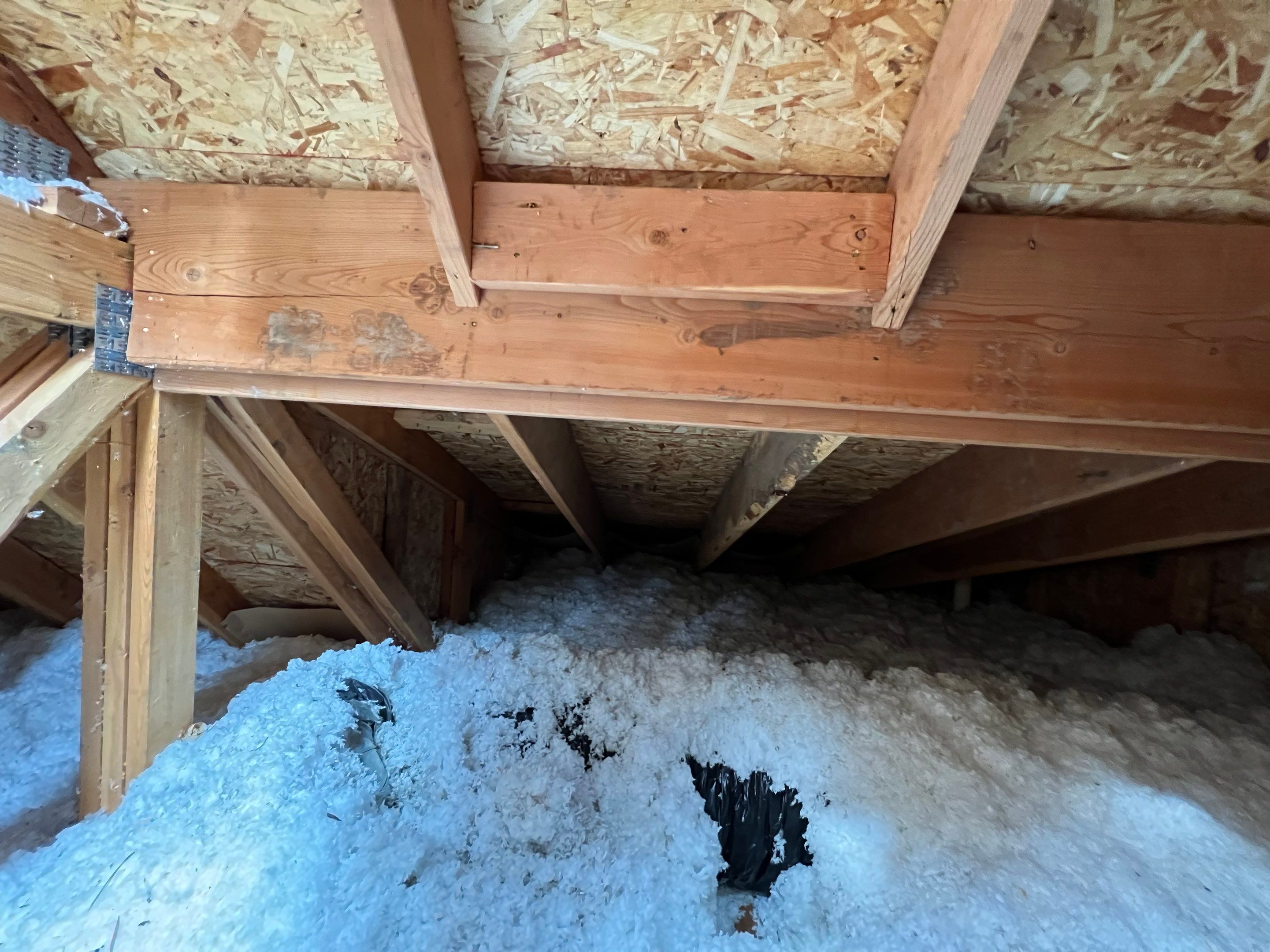 Green Snap Lock Standing Seam  by Montana Roofing Solutions