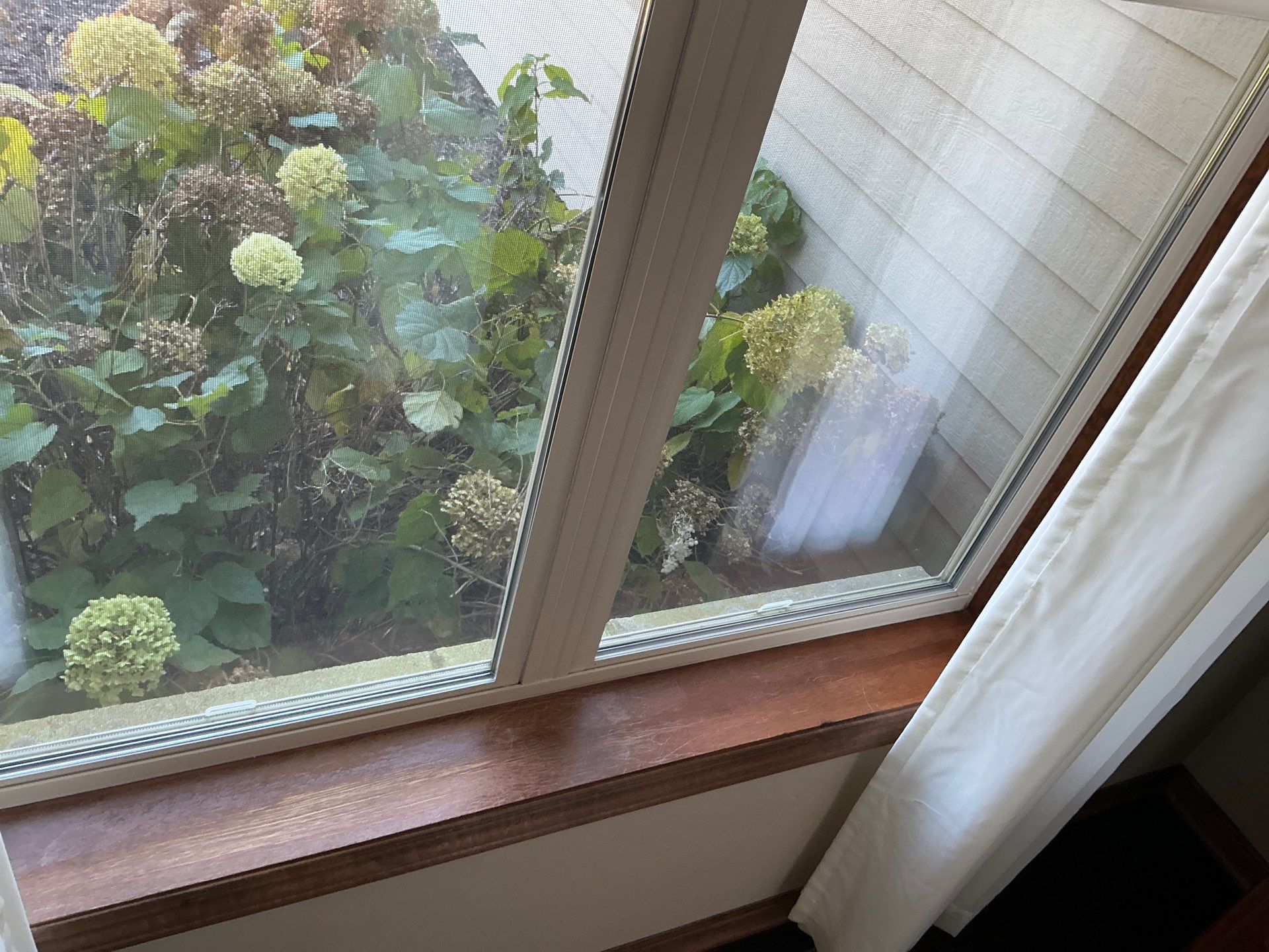 Interior Walls Finishing by OCS Contracting Services