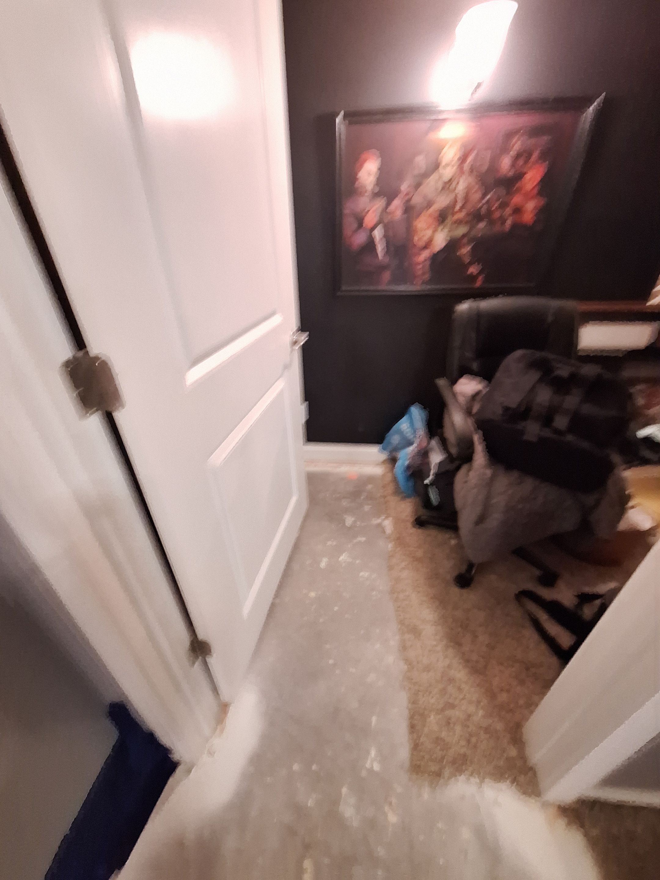 EMS Sewage Cleanup in Memphis, IN by ANR Restoration