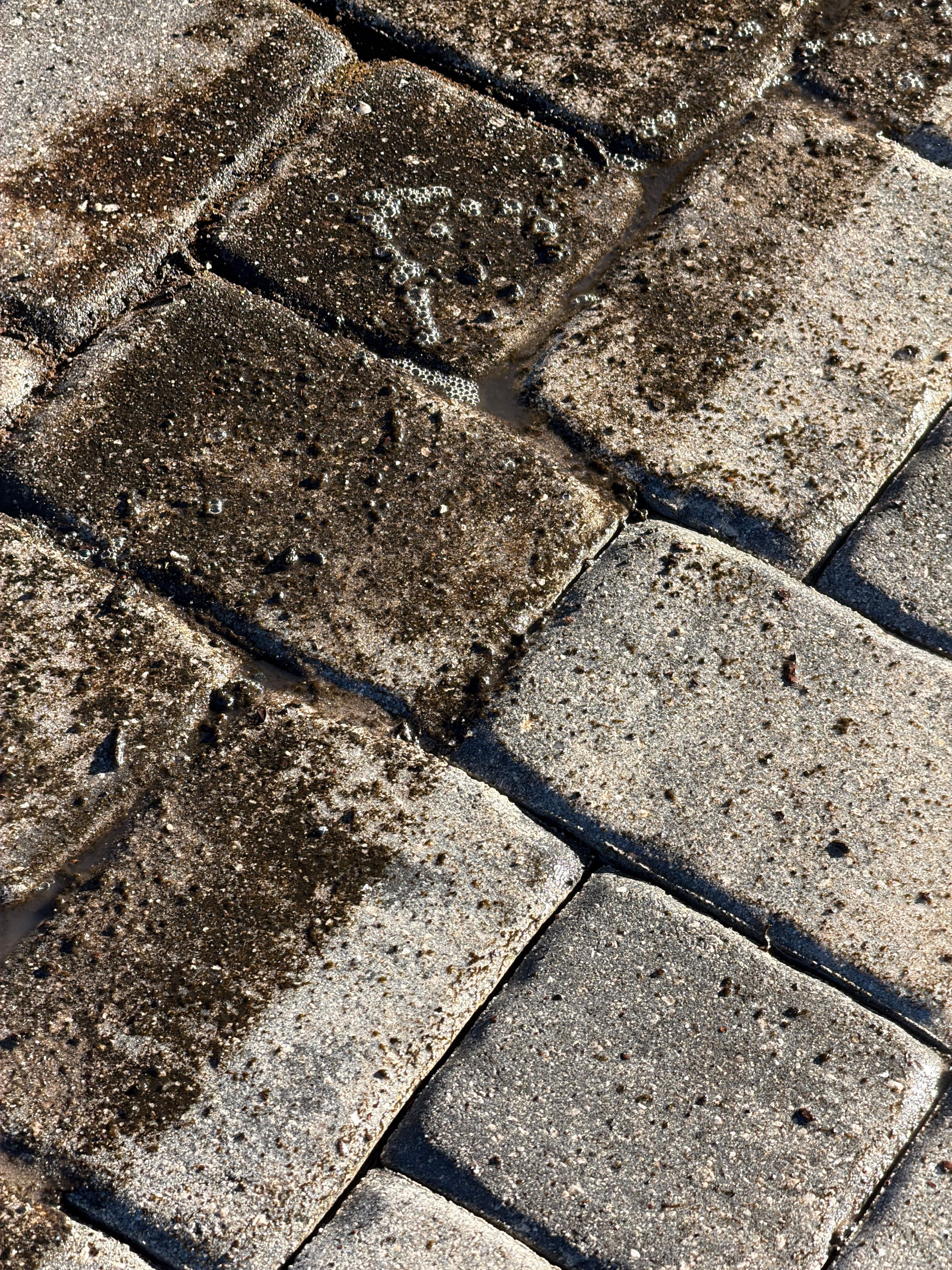 Paver Driveway and Walkway Restoration in Sun City Center by Supreme Paver Experts