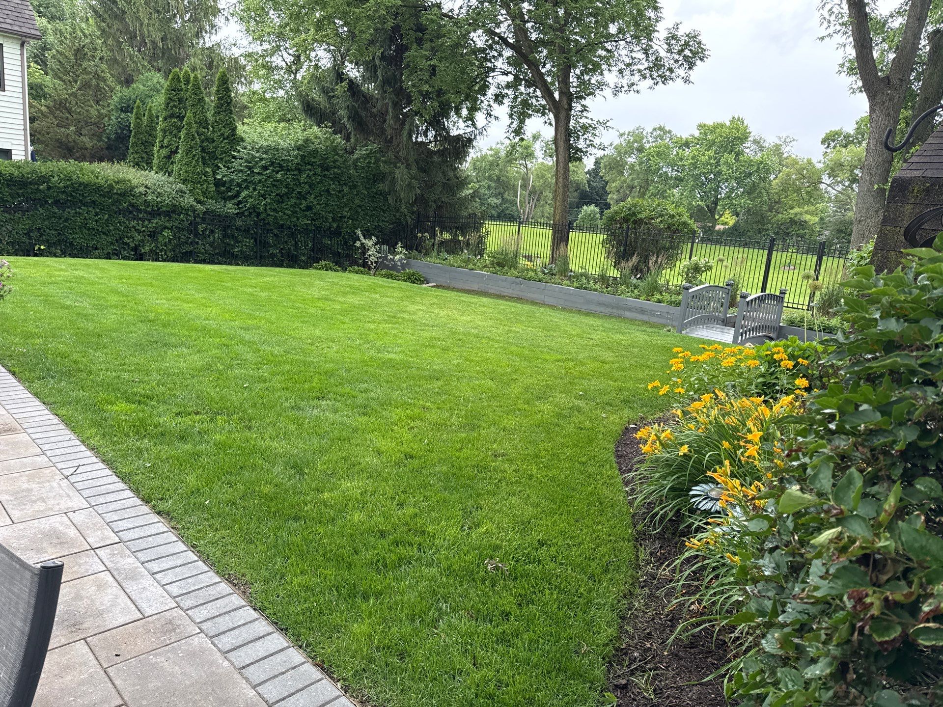 Laura C. - Mount Prospect, IL by A&N 