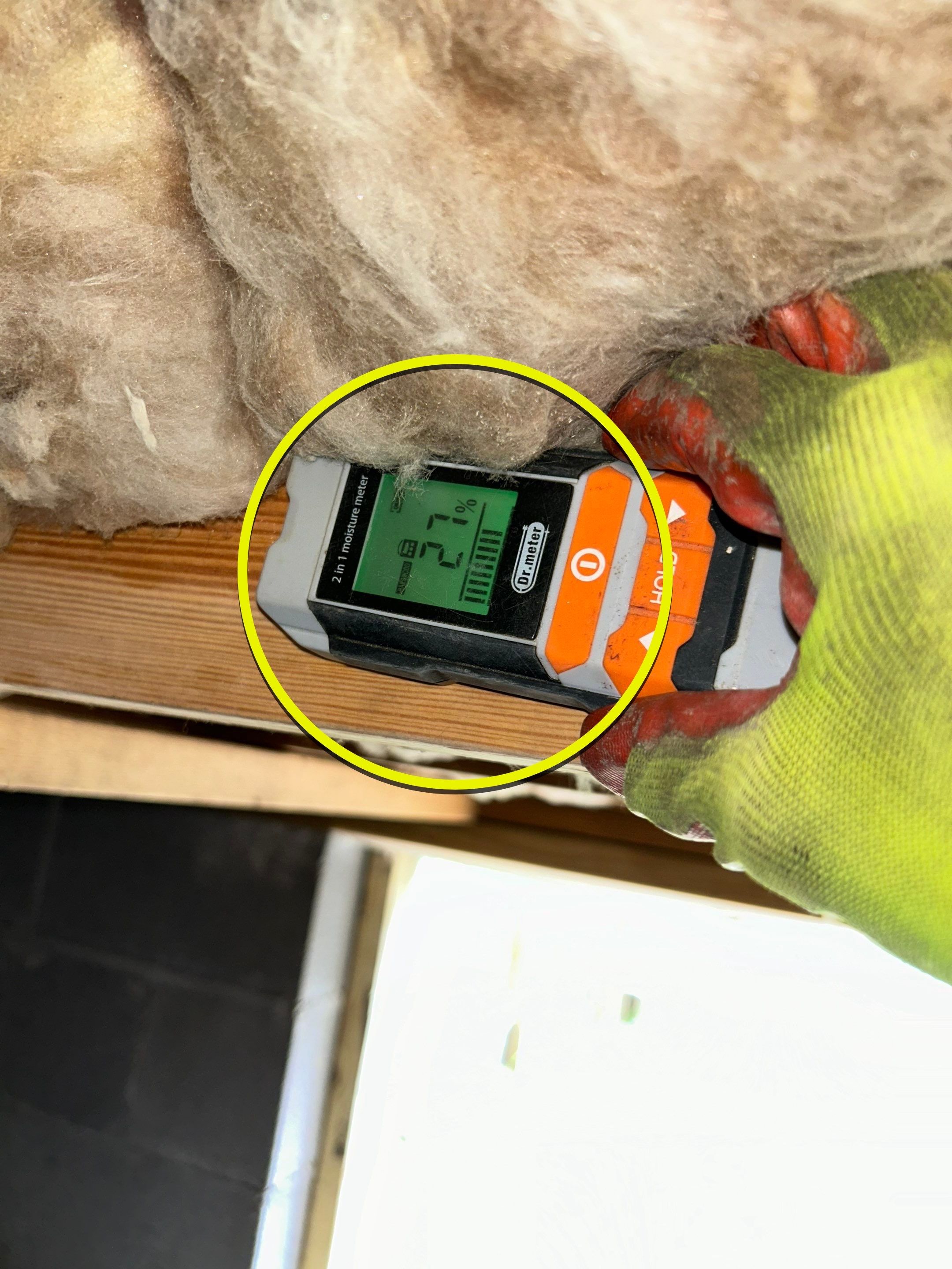 Premium Encapsulation with 20Mil, Borafoam insulation and Light System. by Impact Crawlspace