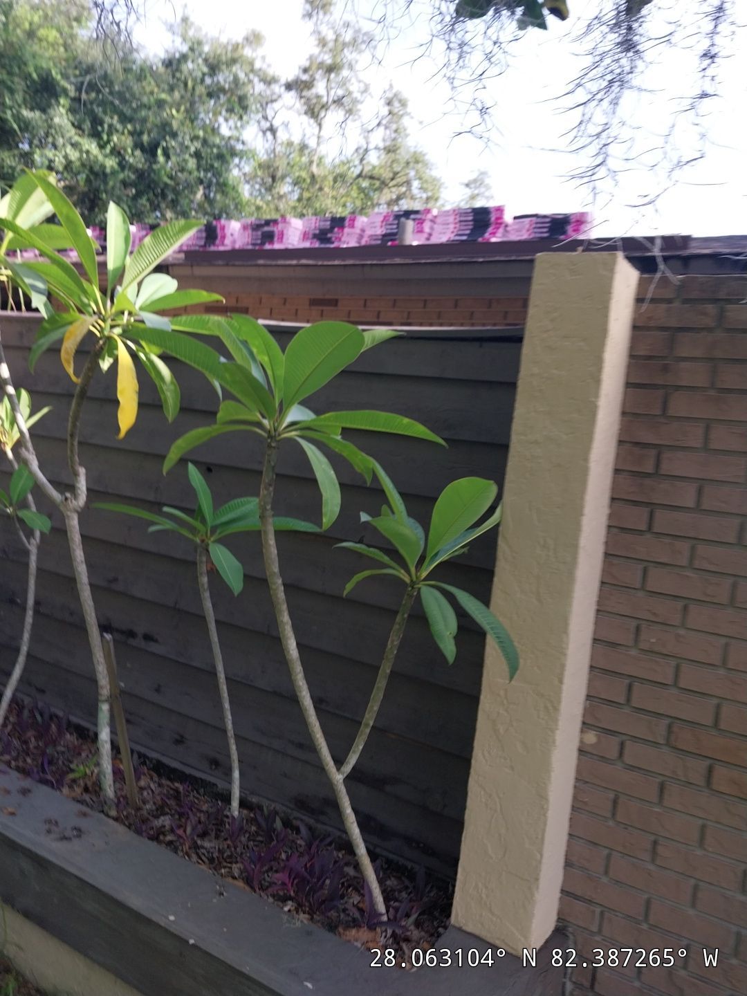 Project in Tampa 33617 by Mitchell Roofing Company LLC 