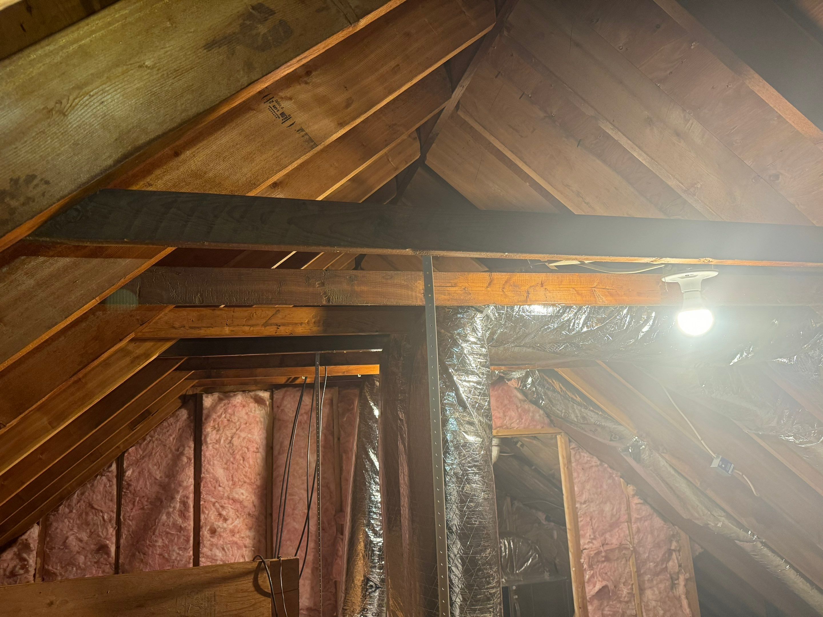 Bathroom Mold Remediation by Home Guarantee, LLC
