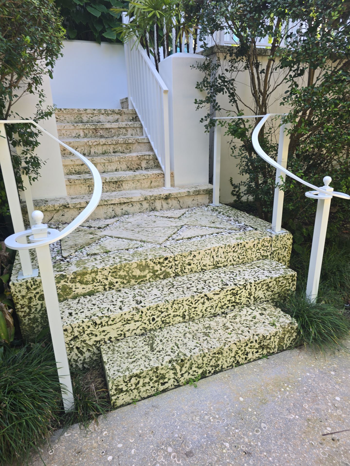 Private Residence Coral Gables by Toledo Iron Works