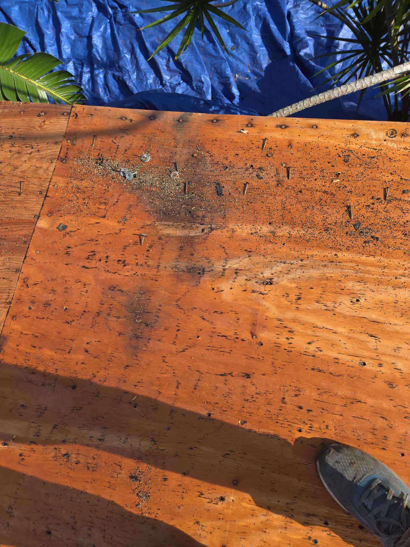 Project in St. Petersburg 33713 by Mitchell Roofing Company LLC 