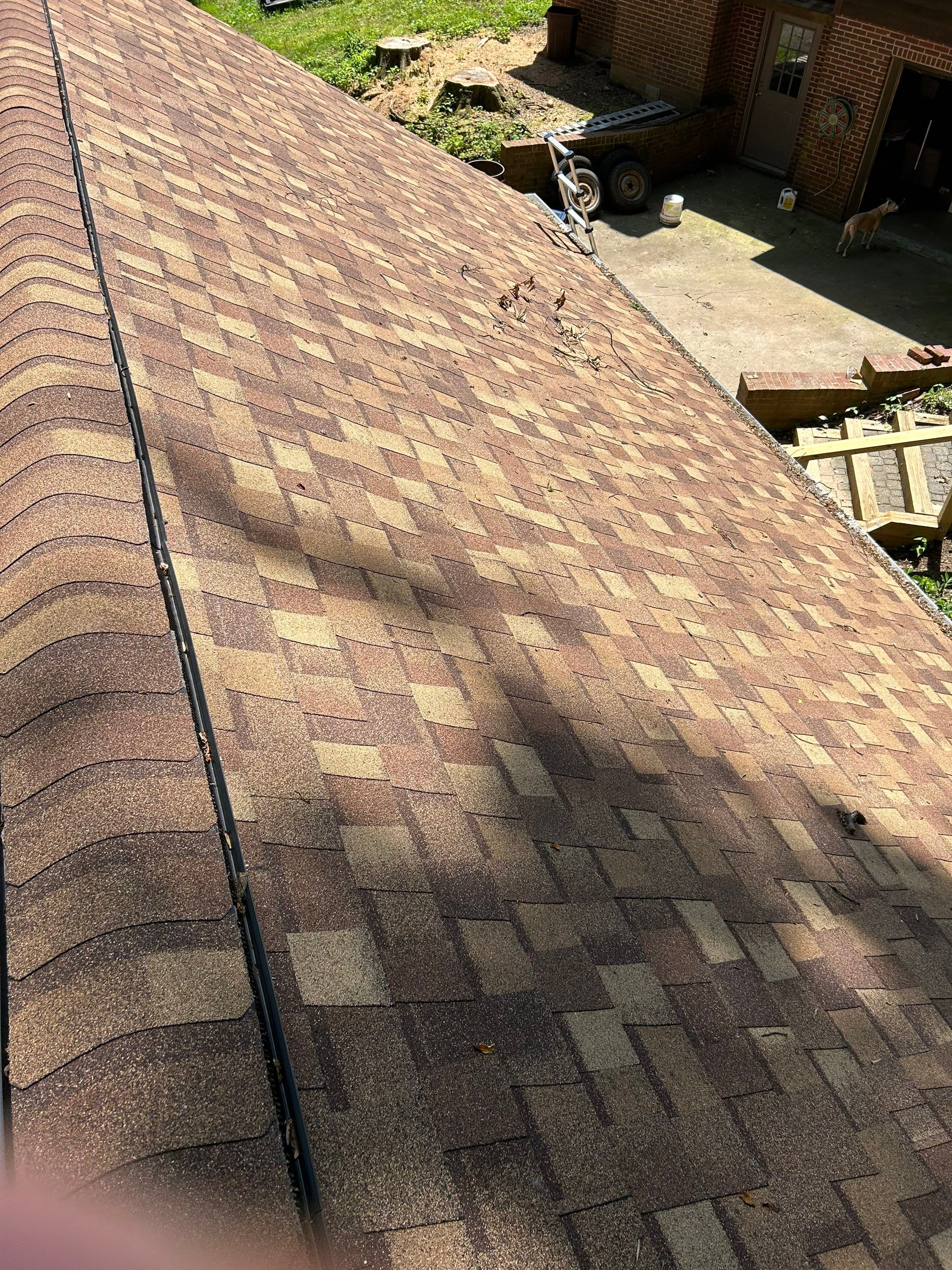 Annandale: Multi-Trade Tree Damage Restoration by RM Banning, Inc.