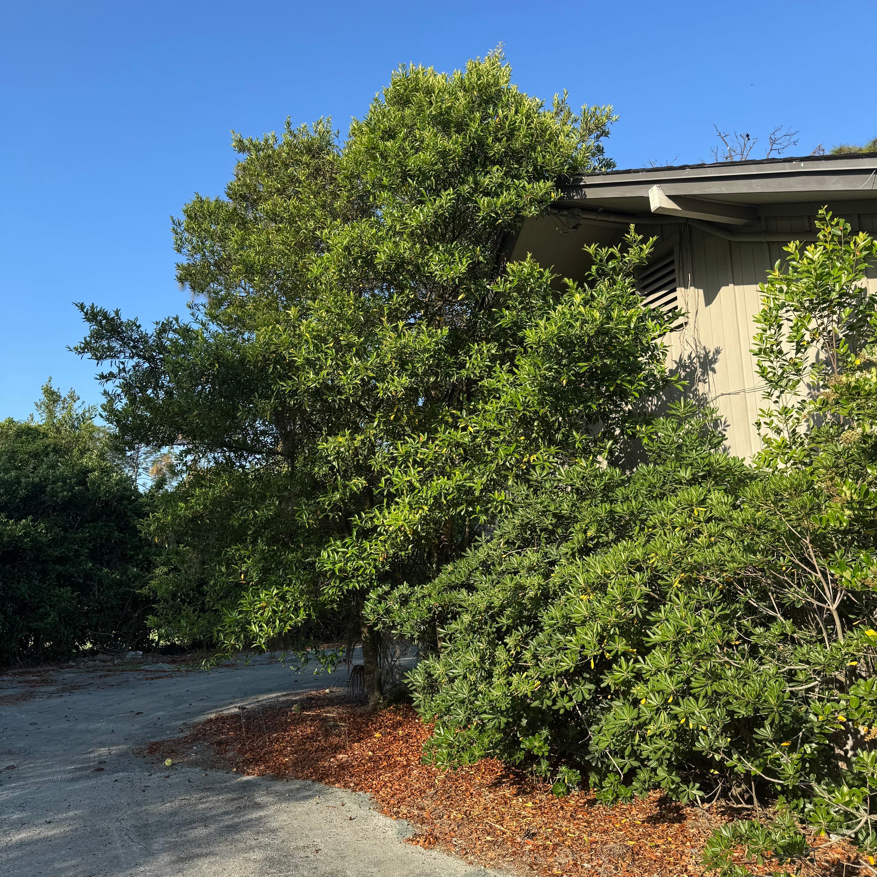 Tennis Complex | Deerwood Community by ProGreen Services