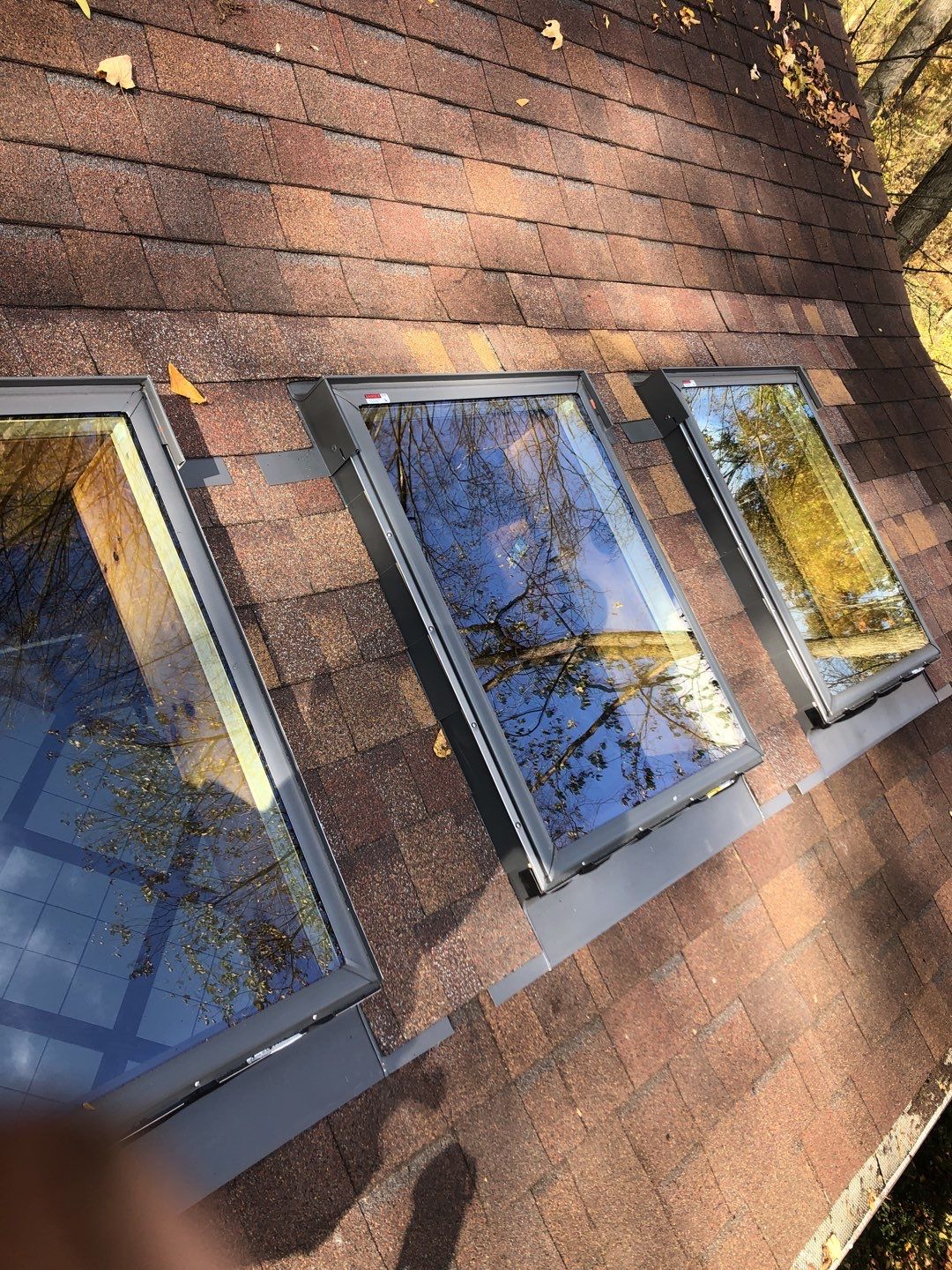 Olivia Gaytko by Silver Leaf Contracting 