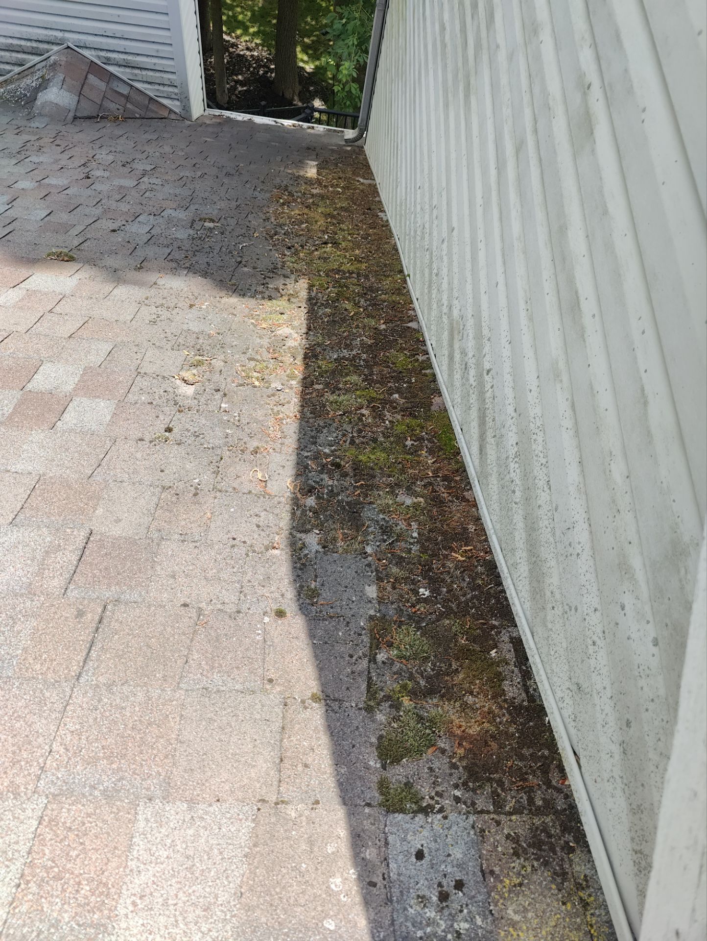 Roof Replacement using CertainTeed Landmark Max Def Shenandoah by 180 Contractors