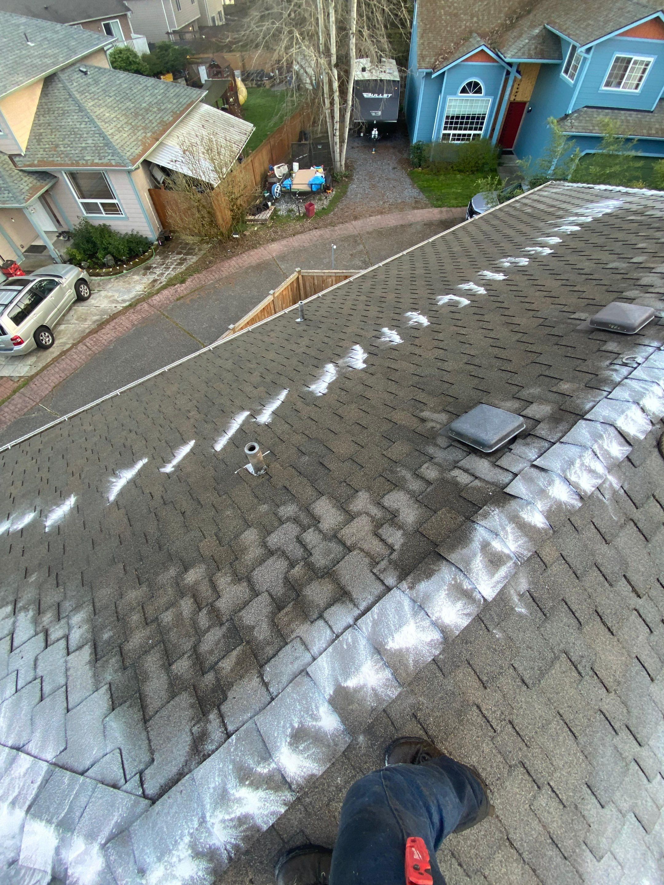 Roof Cleaning – Everett, WA by Everpro Construction