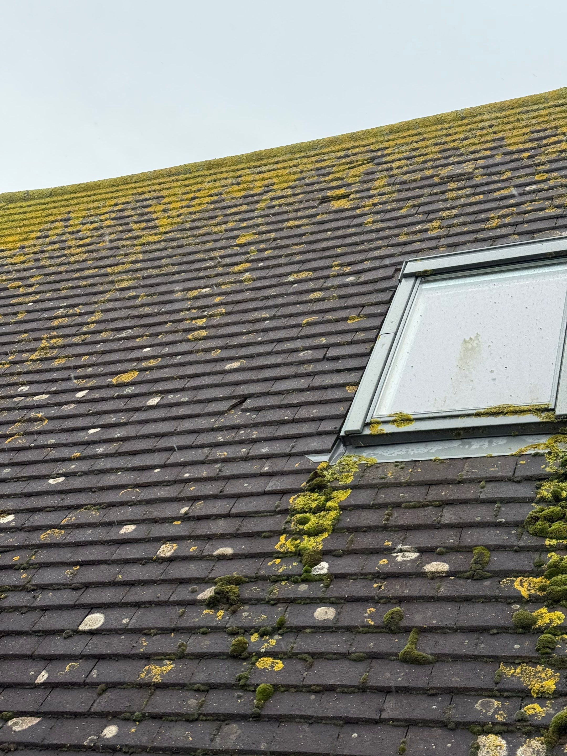 Roof and Patio Clean Bognor Regis by Ges Exterior Cleaning ltd