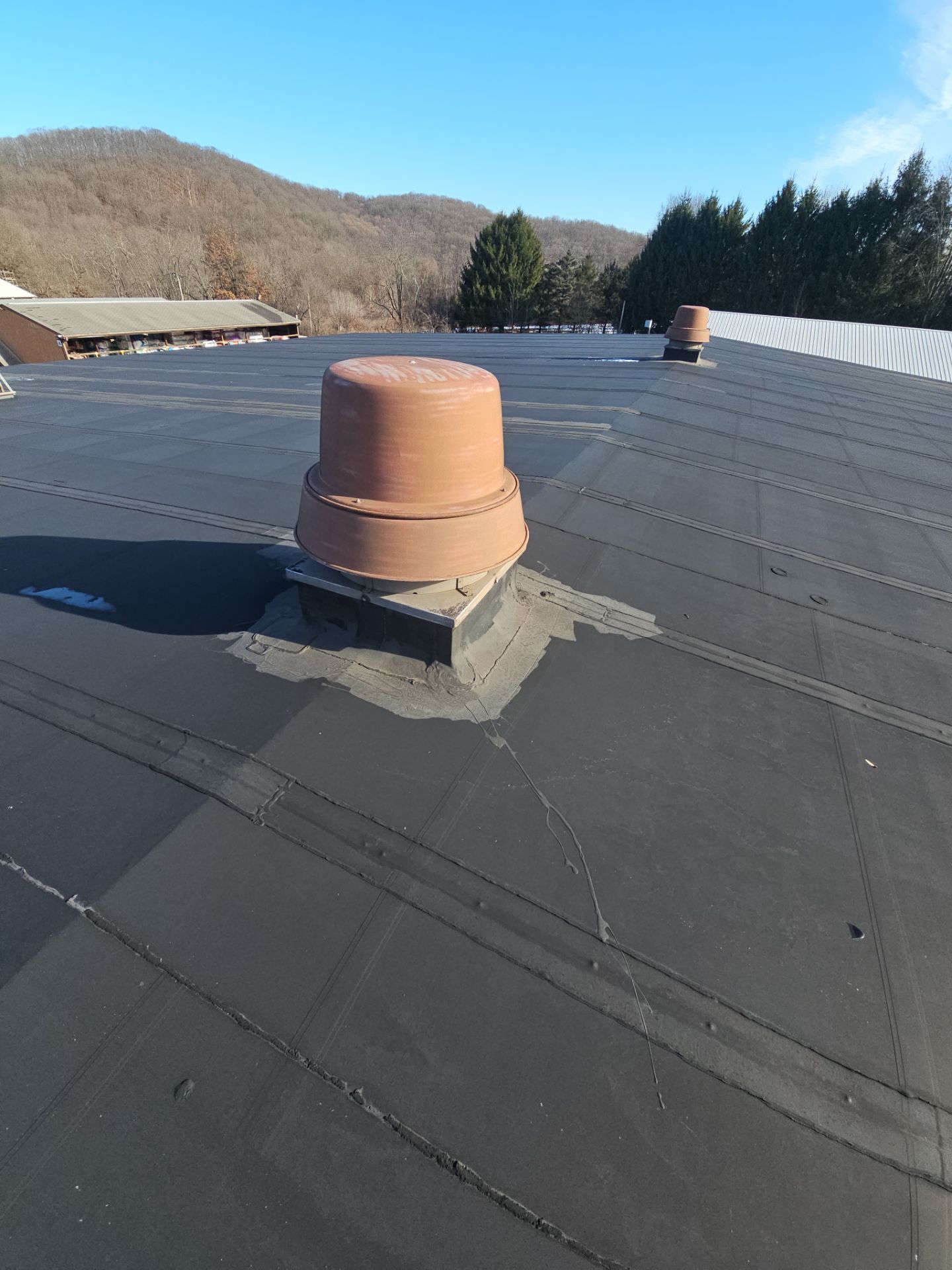 HP Starr by 768 ROOF, LLC.