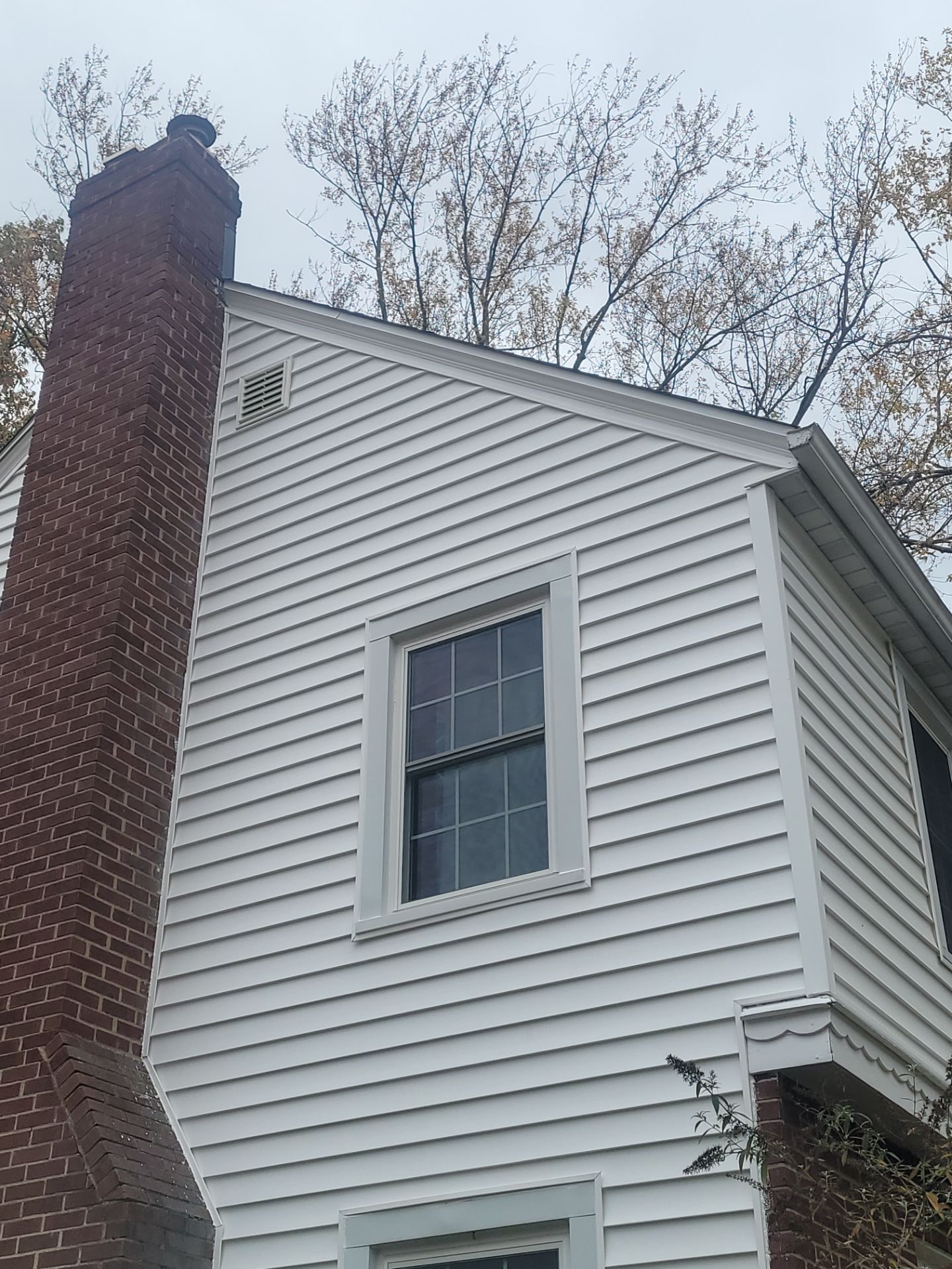 Josh Bennett by Silver Leaf Contracting 