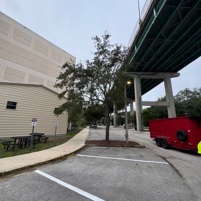 Episcopal - Munnerlyn Campus | Tree Removal