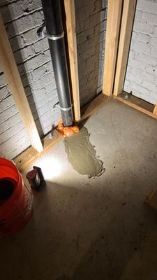 Project in Portland