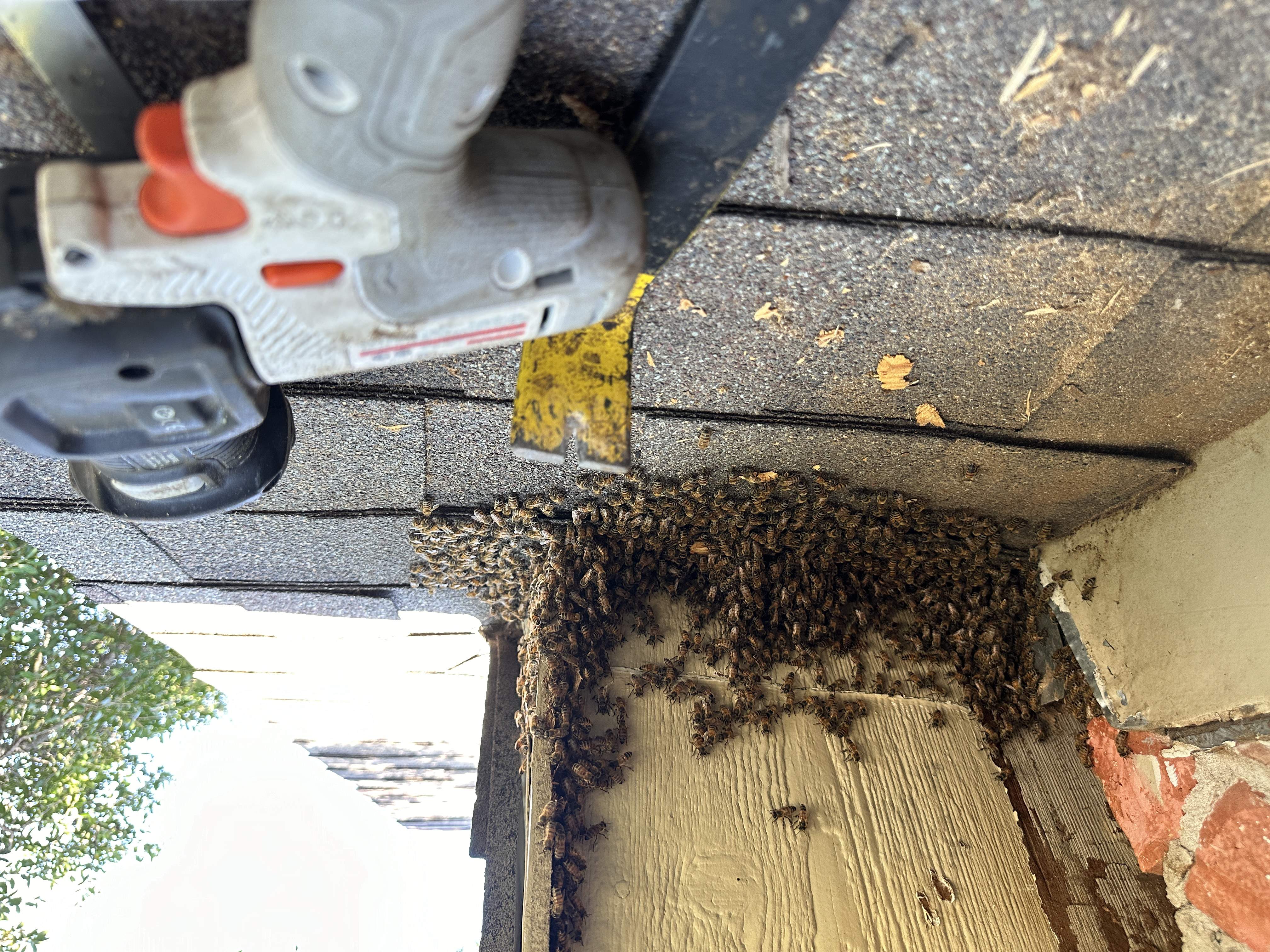 Roof Soffit by Rockwall Honey Bee Company