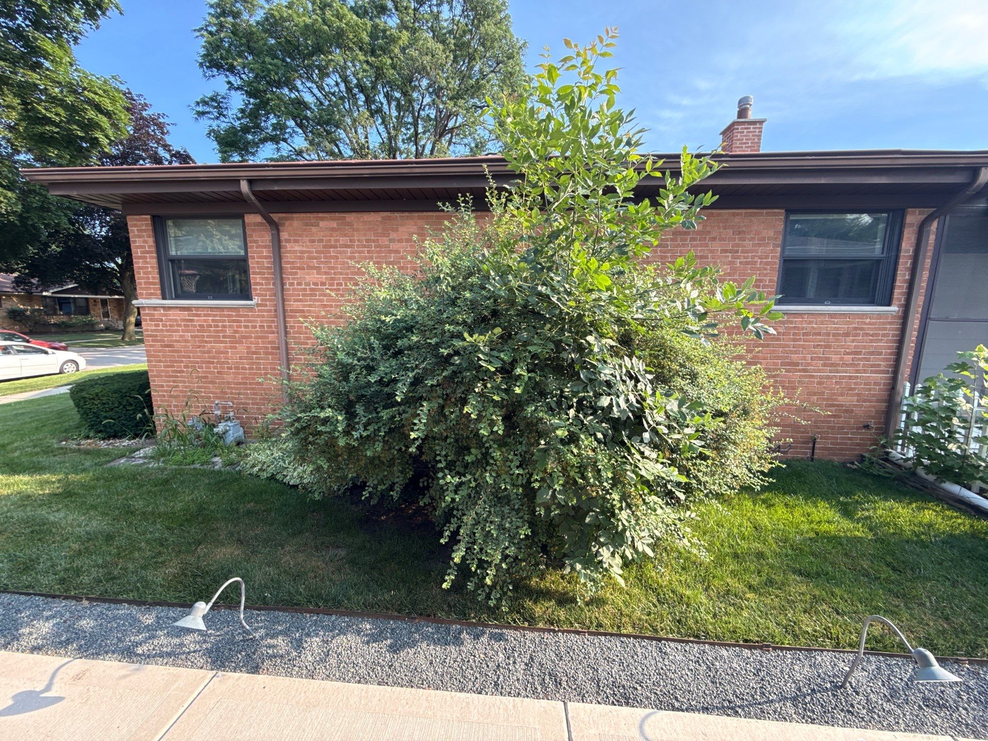 Robert B. - Arlington Heights, IL by A&N