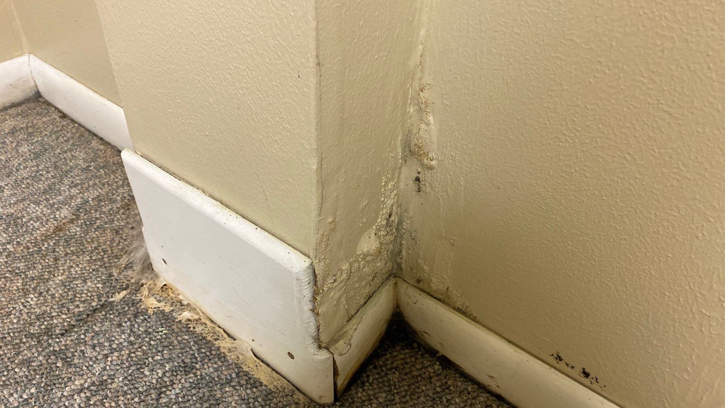 Water Damage  by Accountable Home Services