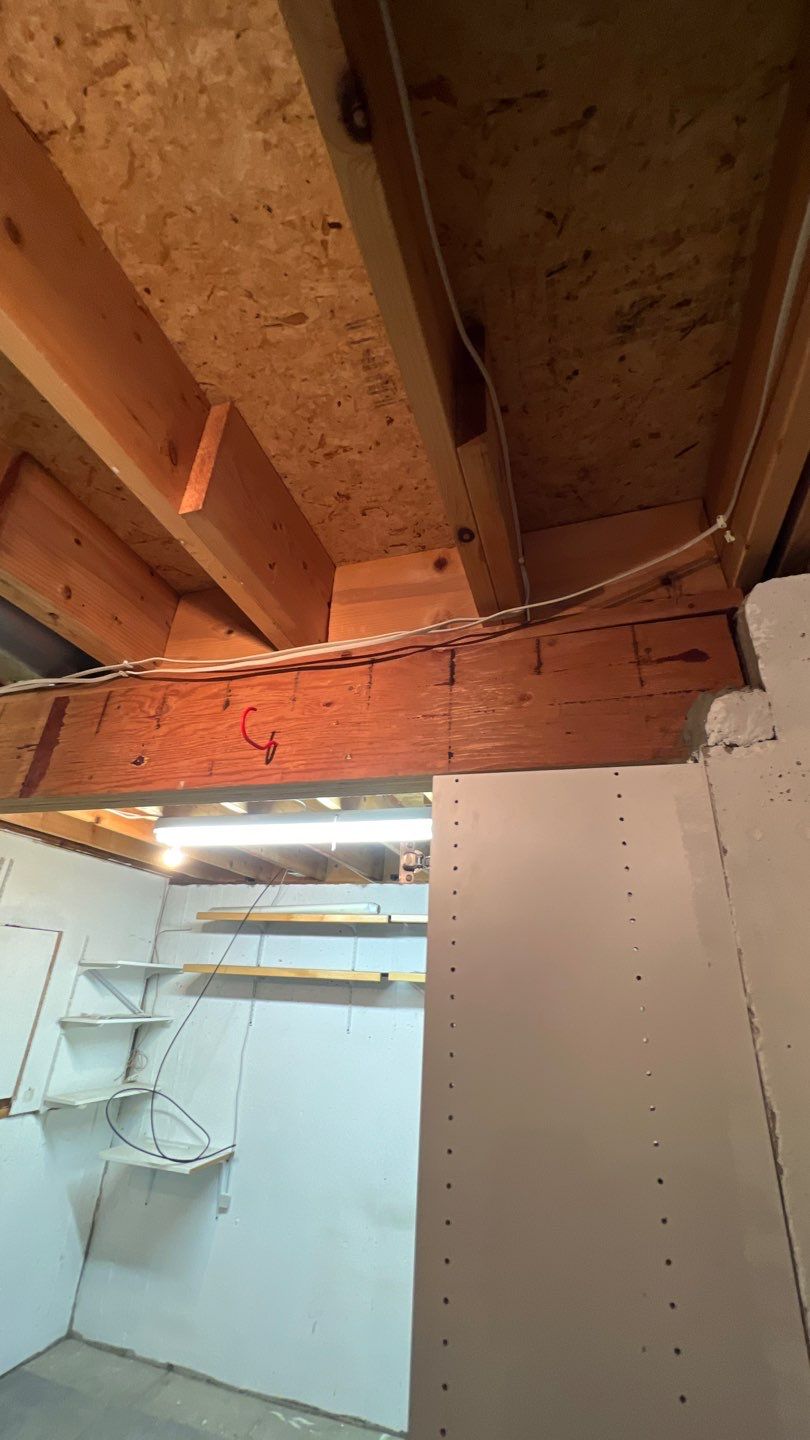 Mold Damage by Accountable Home Services