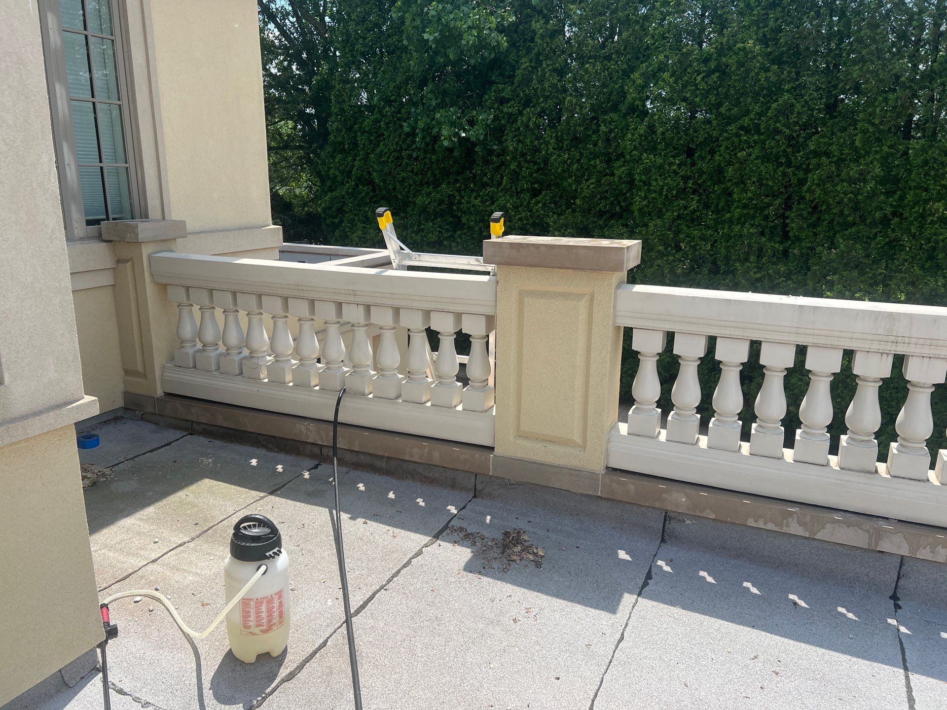 concrete cleaning using Algaecide, soft wash soap by Northern Power Washing LLC.