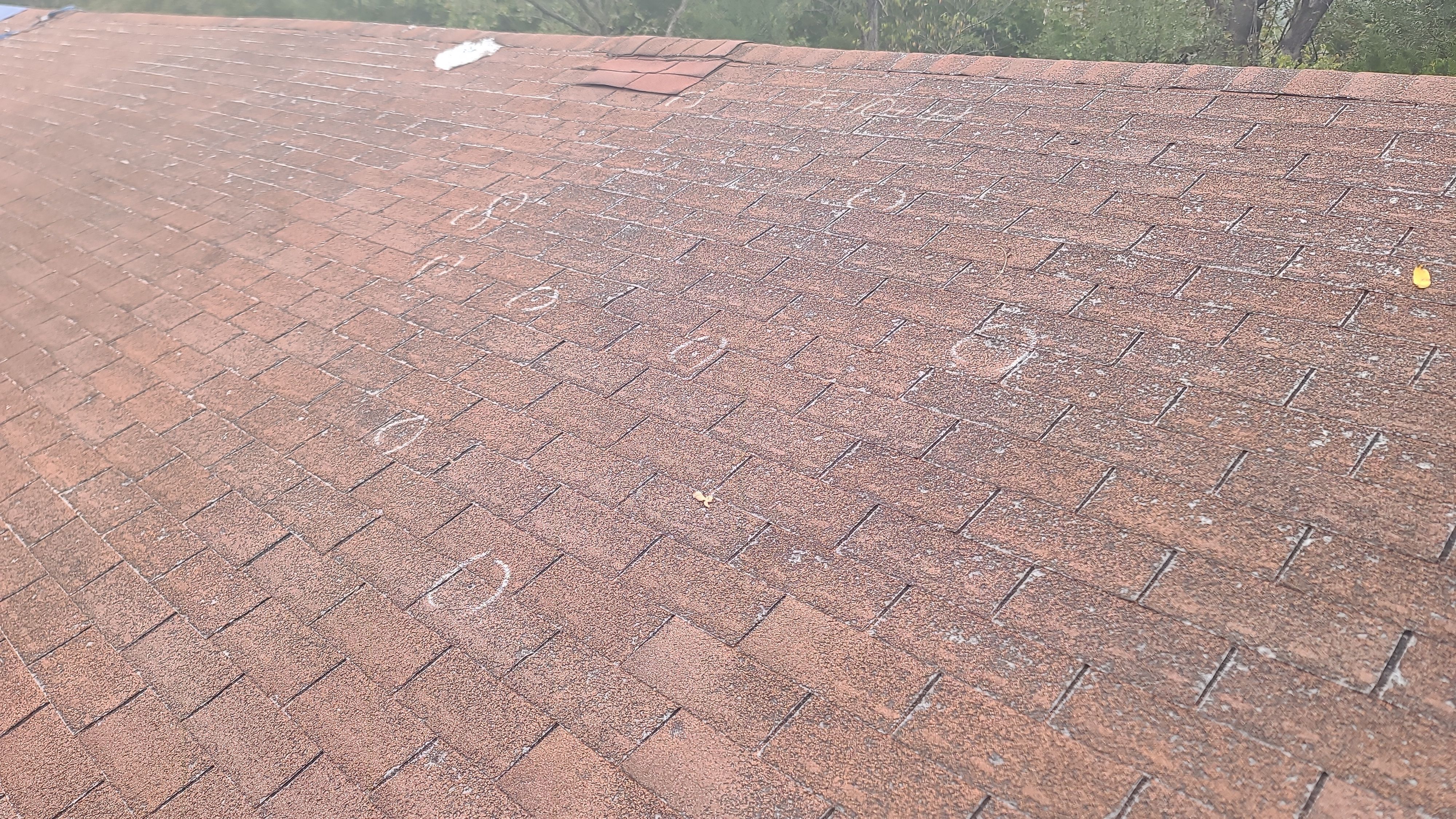 Residential Roofing + Gutters & Downspouts Install  by Titan Commercial & Residential Roofing 