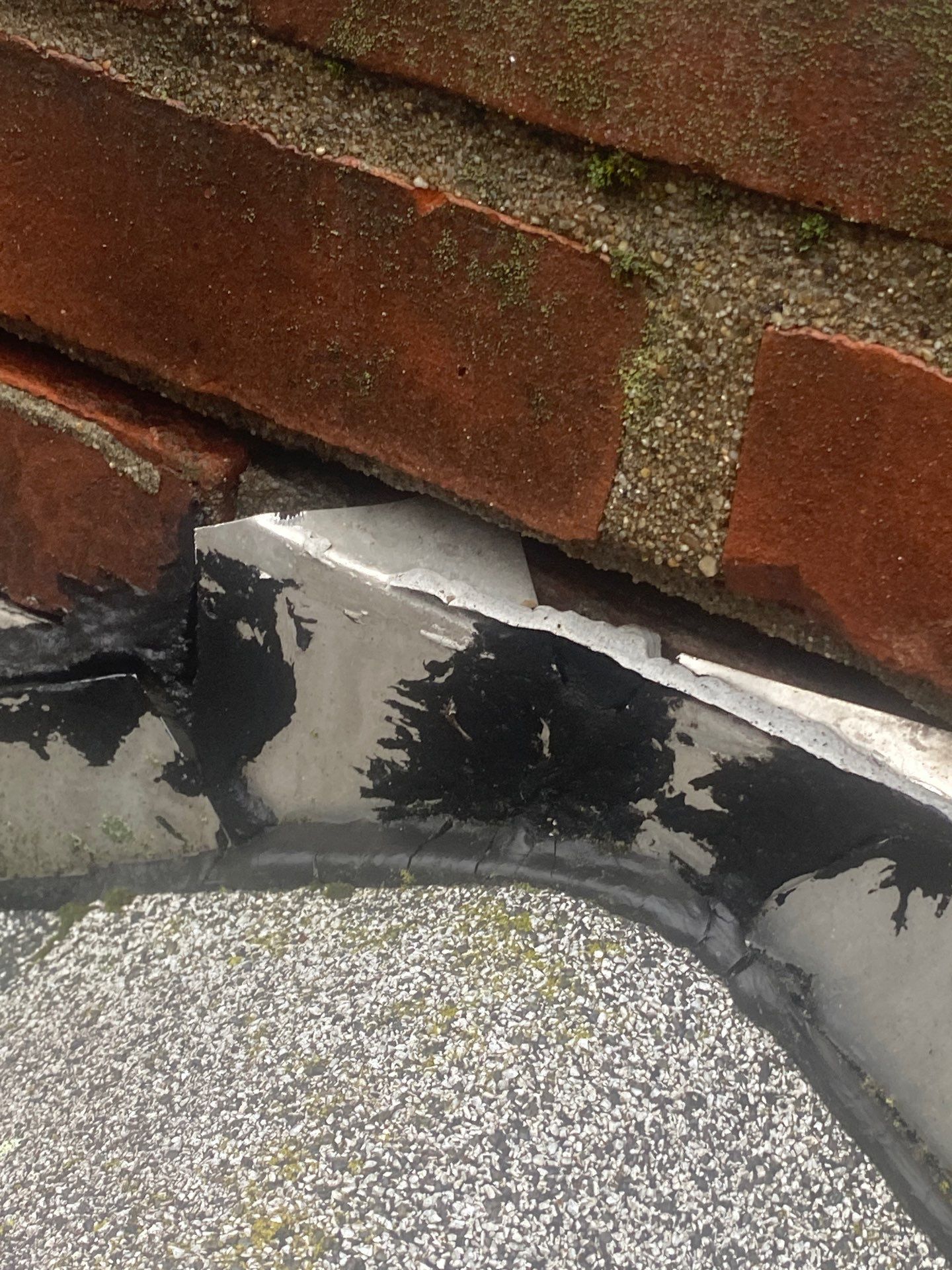 roof  by D Pacific Restoration LLC