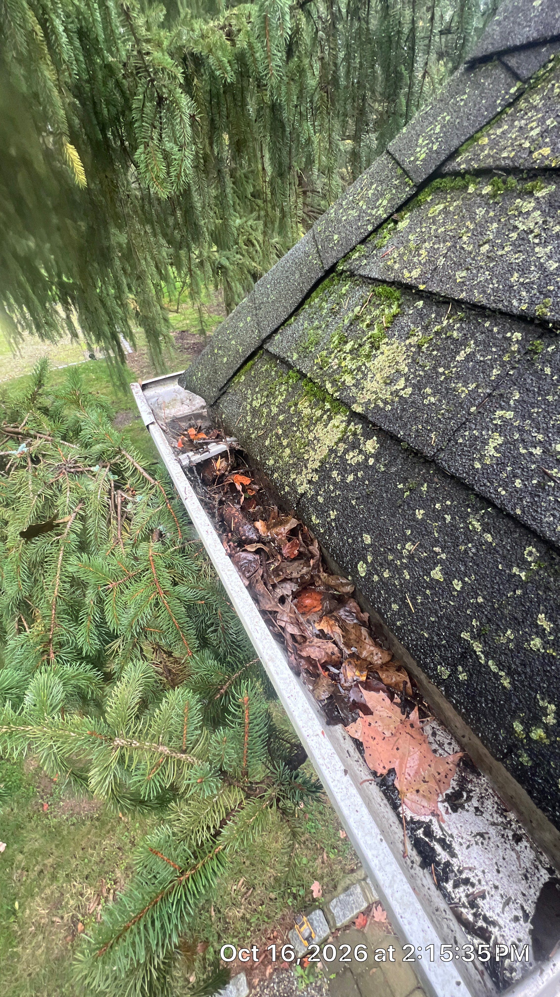 Project in Morristown, New Jersey by NJ Home Maintenance Services