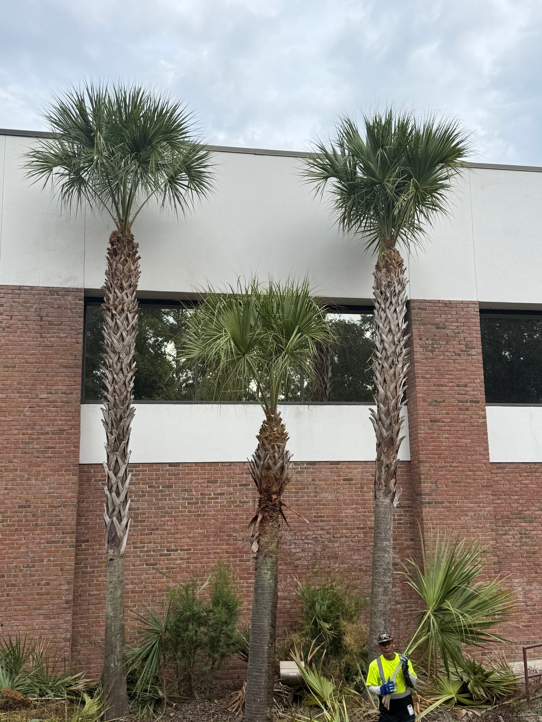 Volunteer Work | Episcopal High School of Jacksonville by ProGreen Services