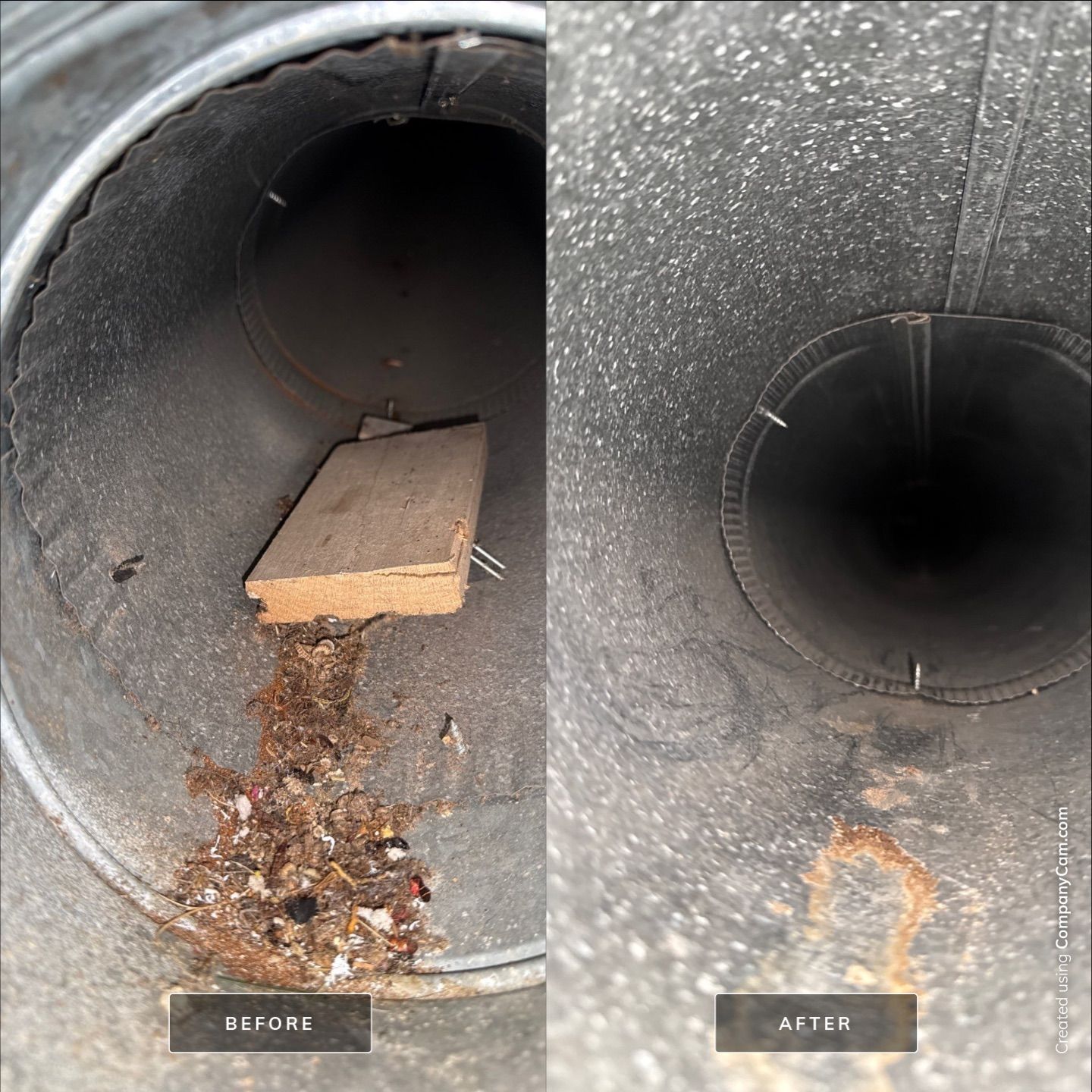 Project in Auburn by Voyager Air Duct Cleaning