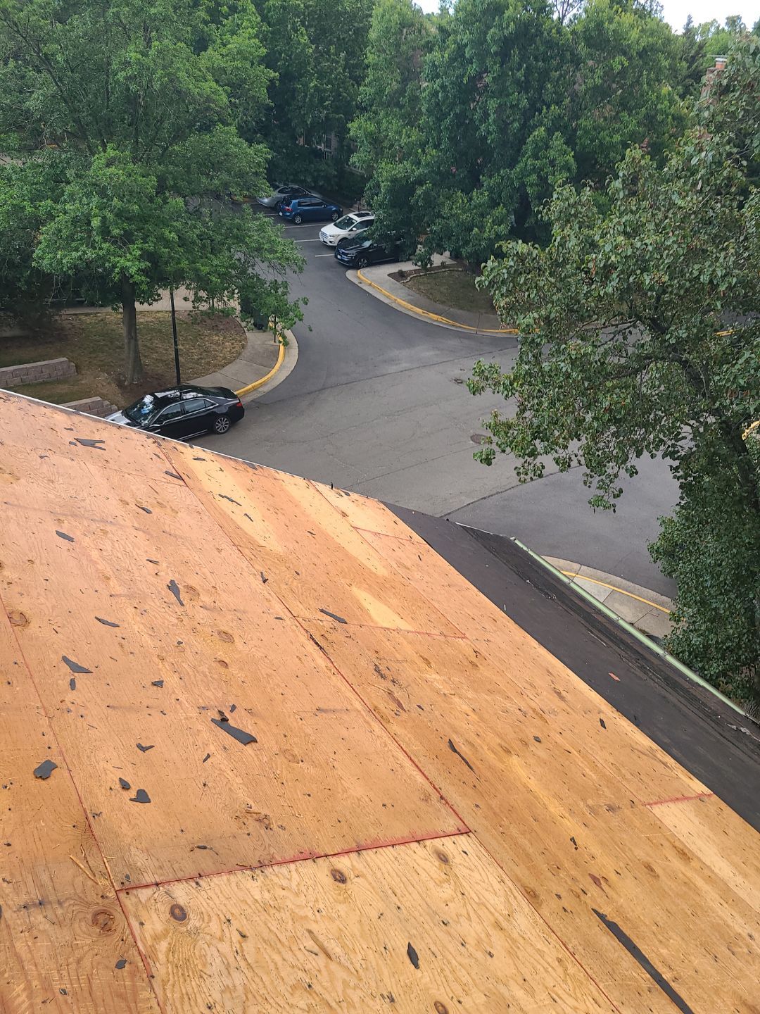 Alexandria: Roof Replacement with CertainTeed Landmark Pro in Max Def Burnt Sienna by RM Banning, Inc.