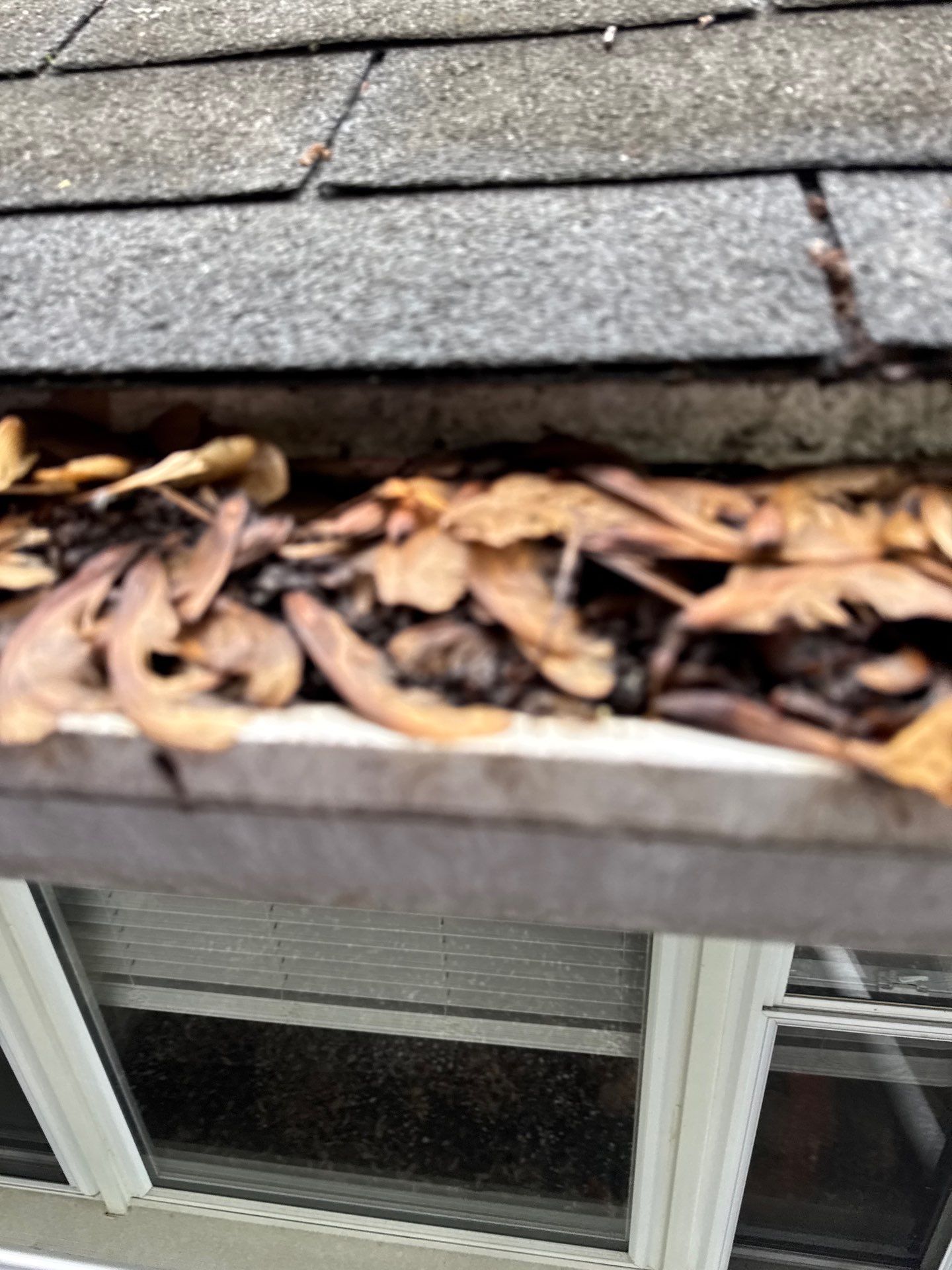 Roof Replacement using Owens Corning Tru Definitions by 180 Contractors