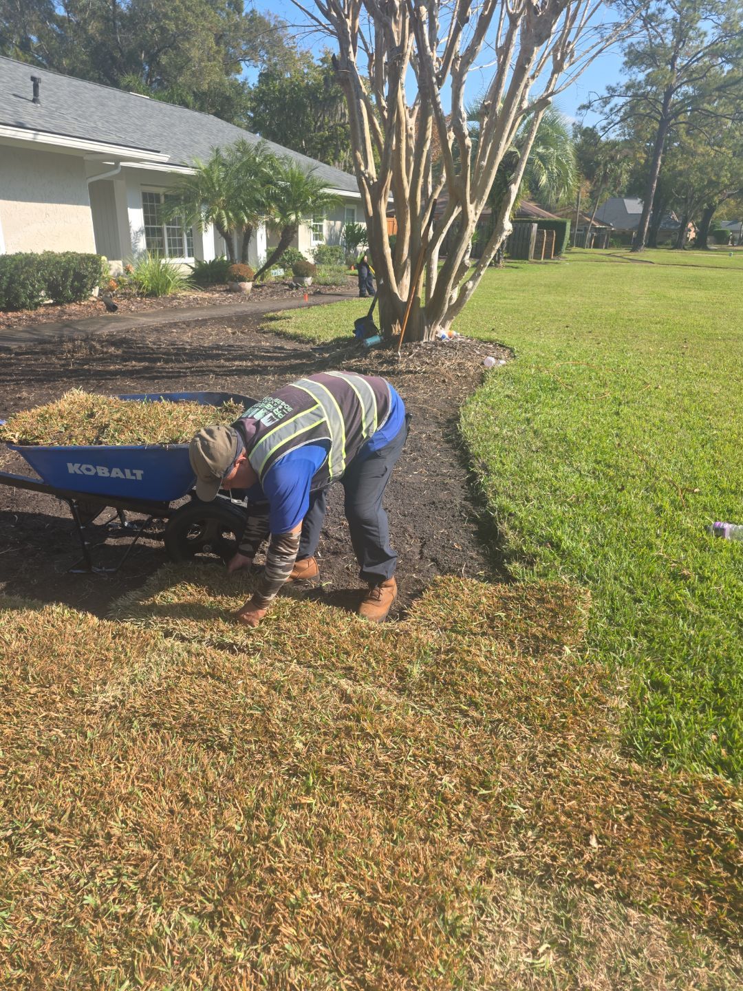 Deerwood Resident | Winter Sod Replacement by ProGreen Services