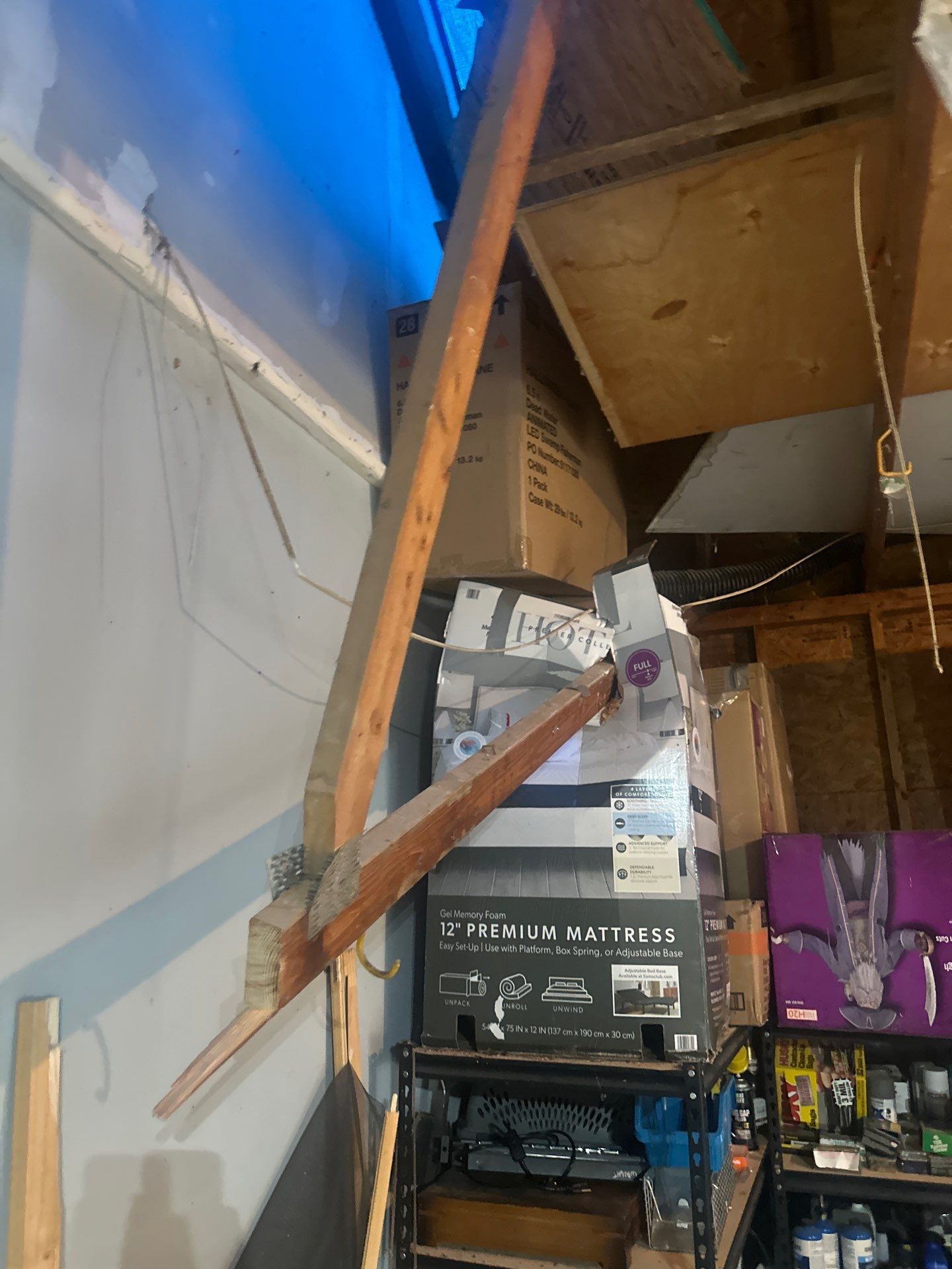 Tree Damage in Lake Orion, MI by Storm Guard - Metro Detroit North