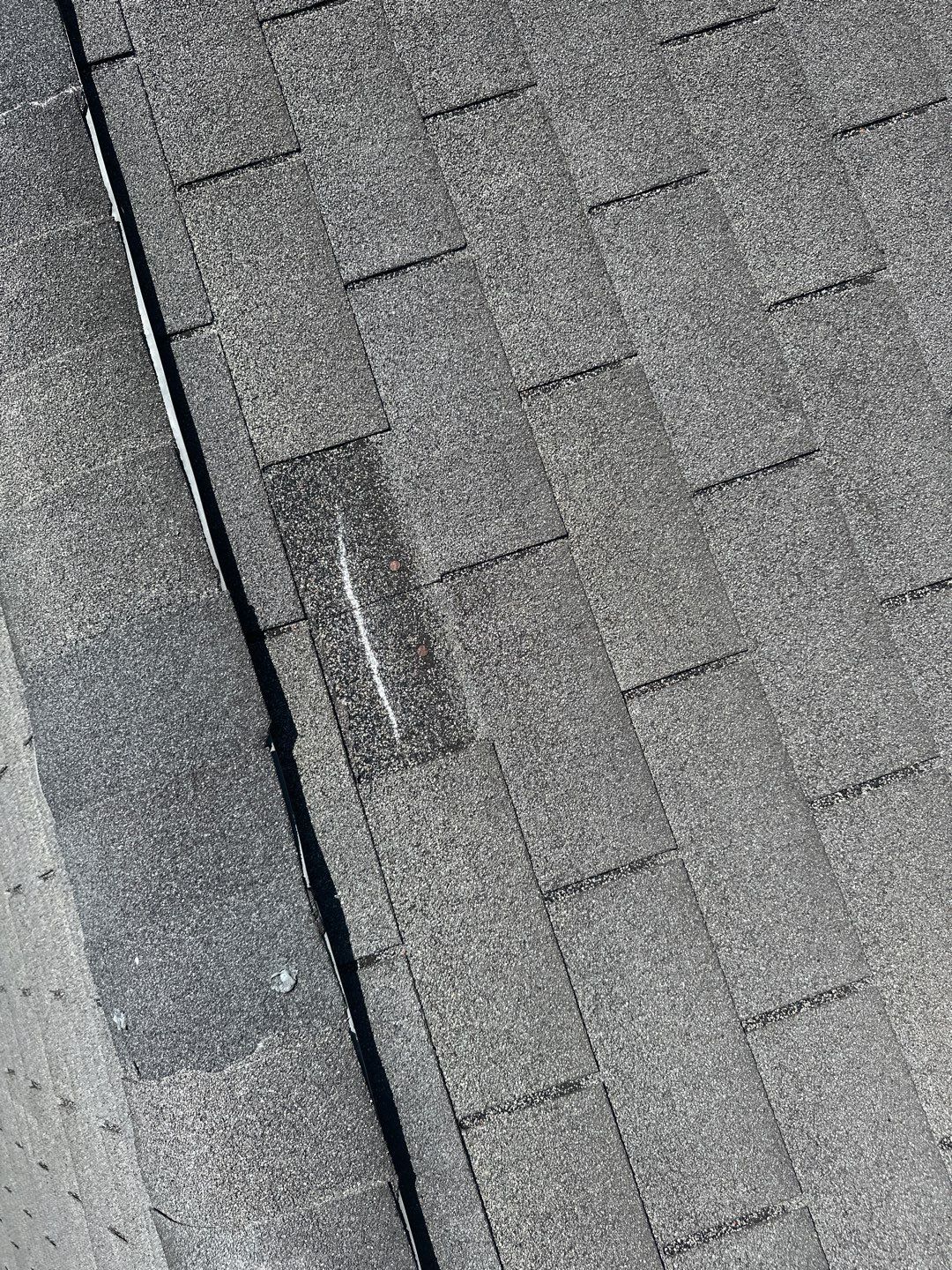 Residential Roofing Installation using Atlas Pinnacle Pristine Oyster Shell by Talya Roofing