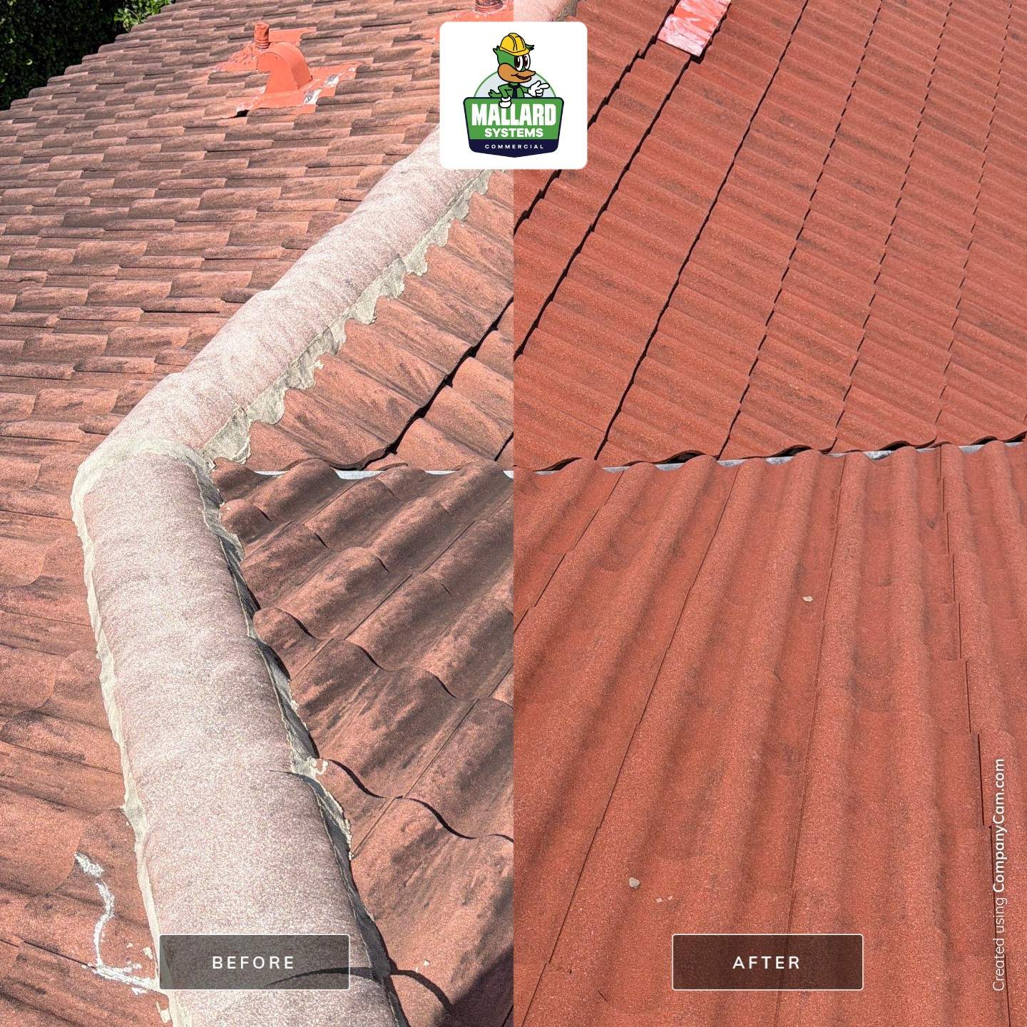 Tile Roof Cleaning in Celebration by Mallard Systems