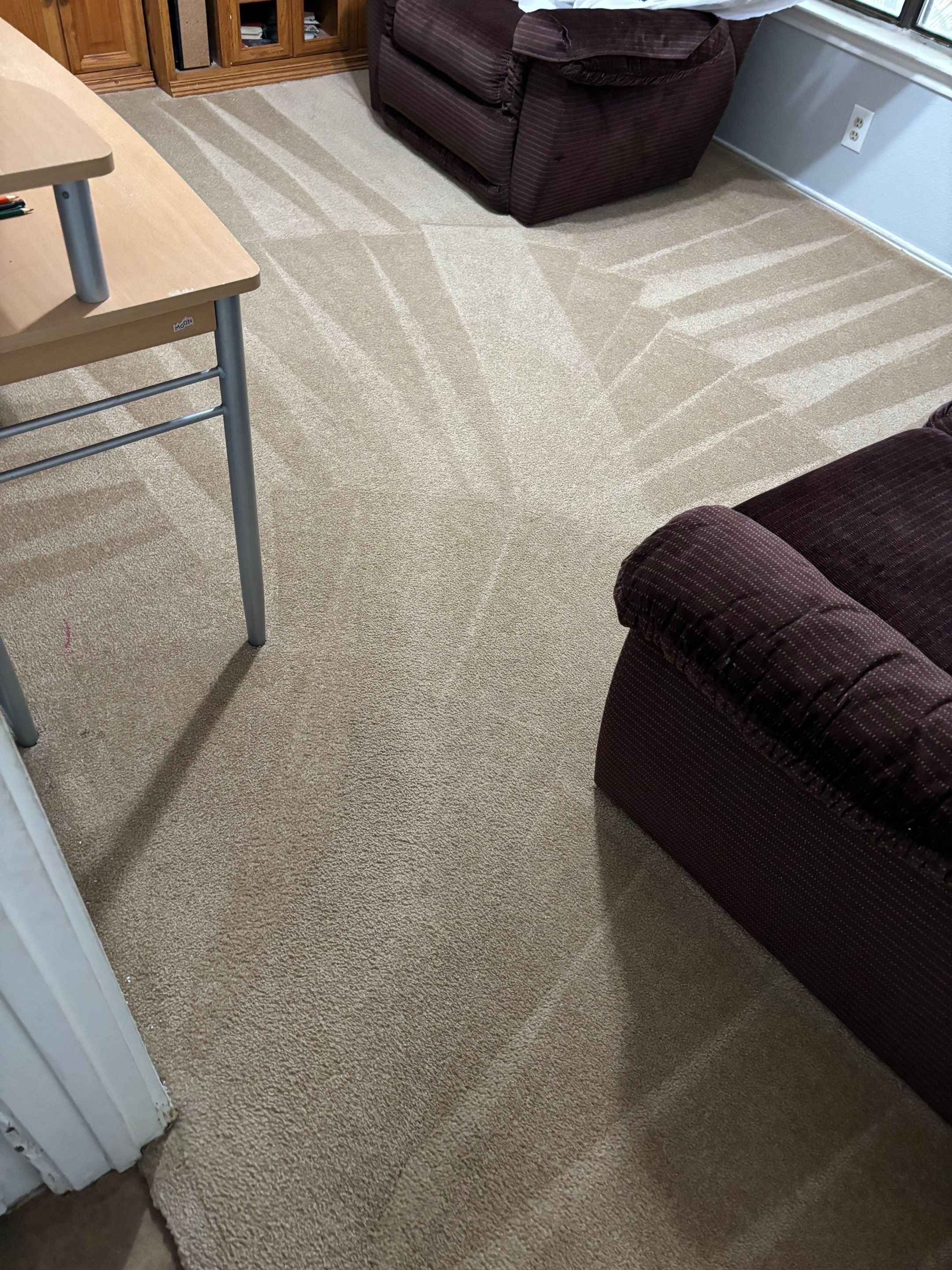 the service being done is carpet cleaning on clean light colored carpet with a subtle pattern and nearby furniture displacement