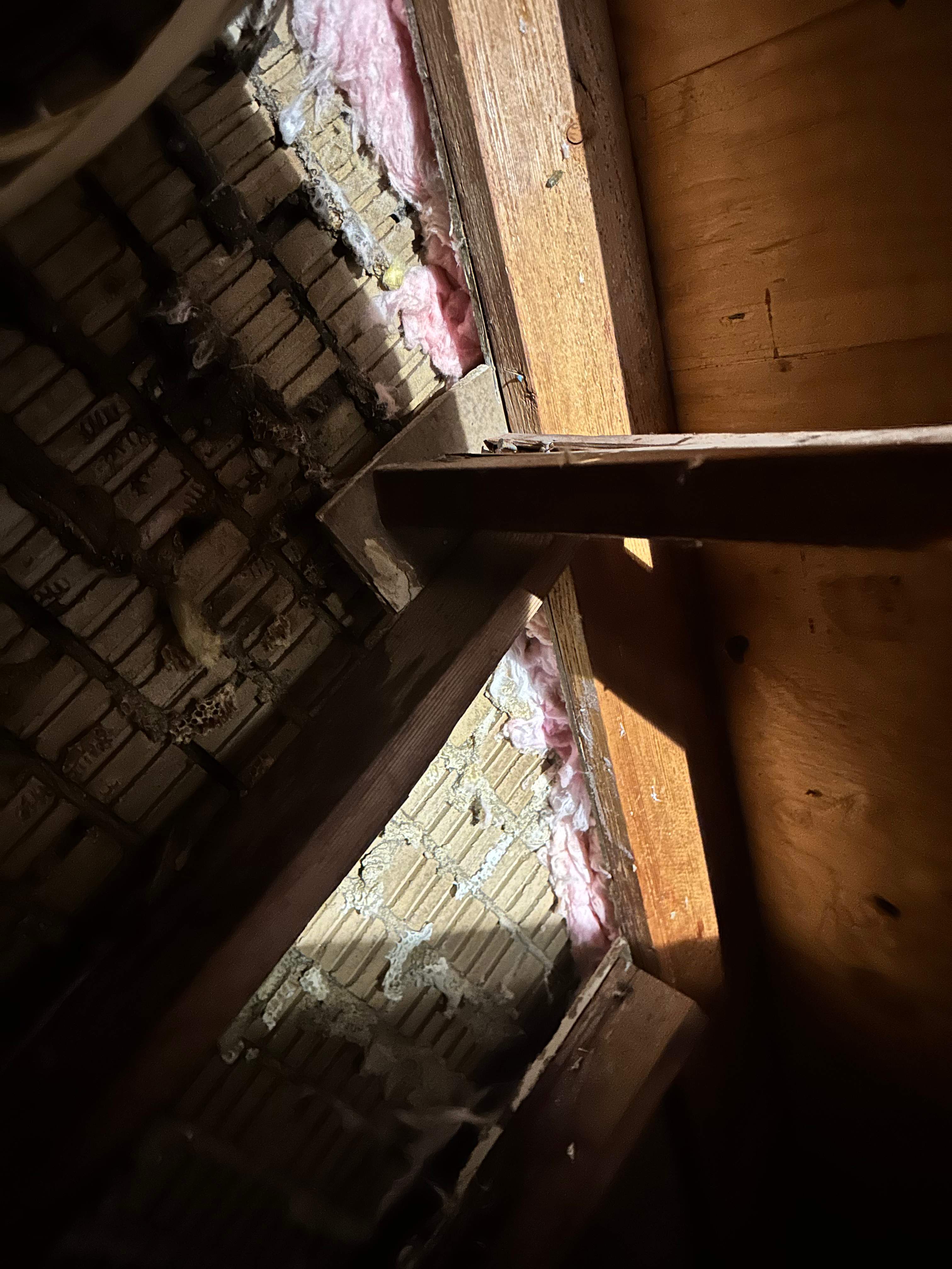 Red Light Attic by Rockwall Honey Bee Company